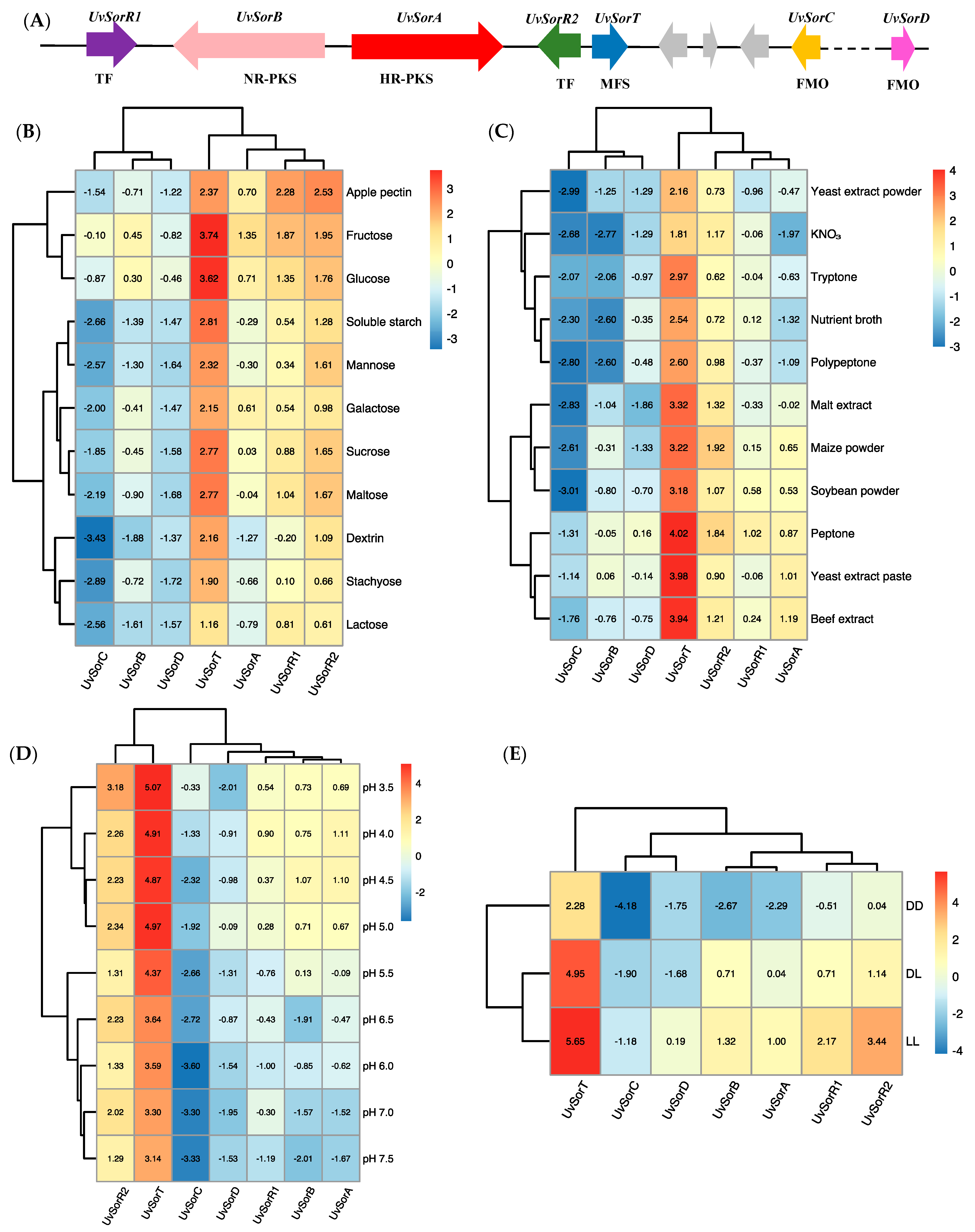 Jof 09 00390 g005 Jof 09 00390 g005