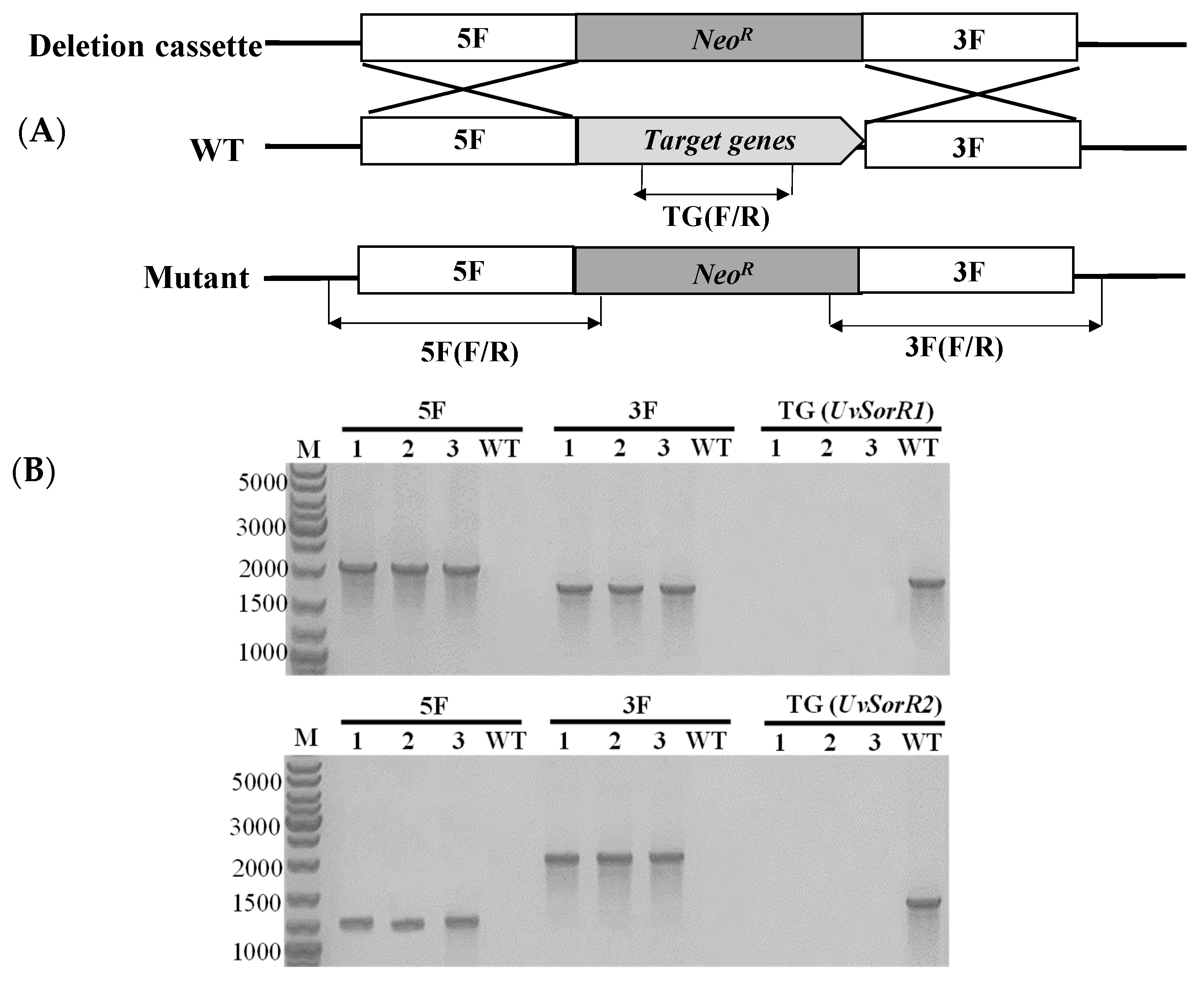 Jof 09 00390 g006 Jof 09 00390 g006