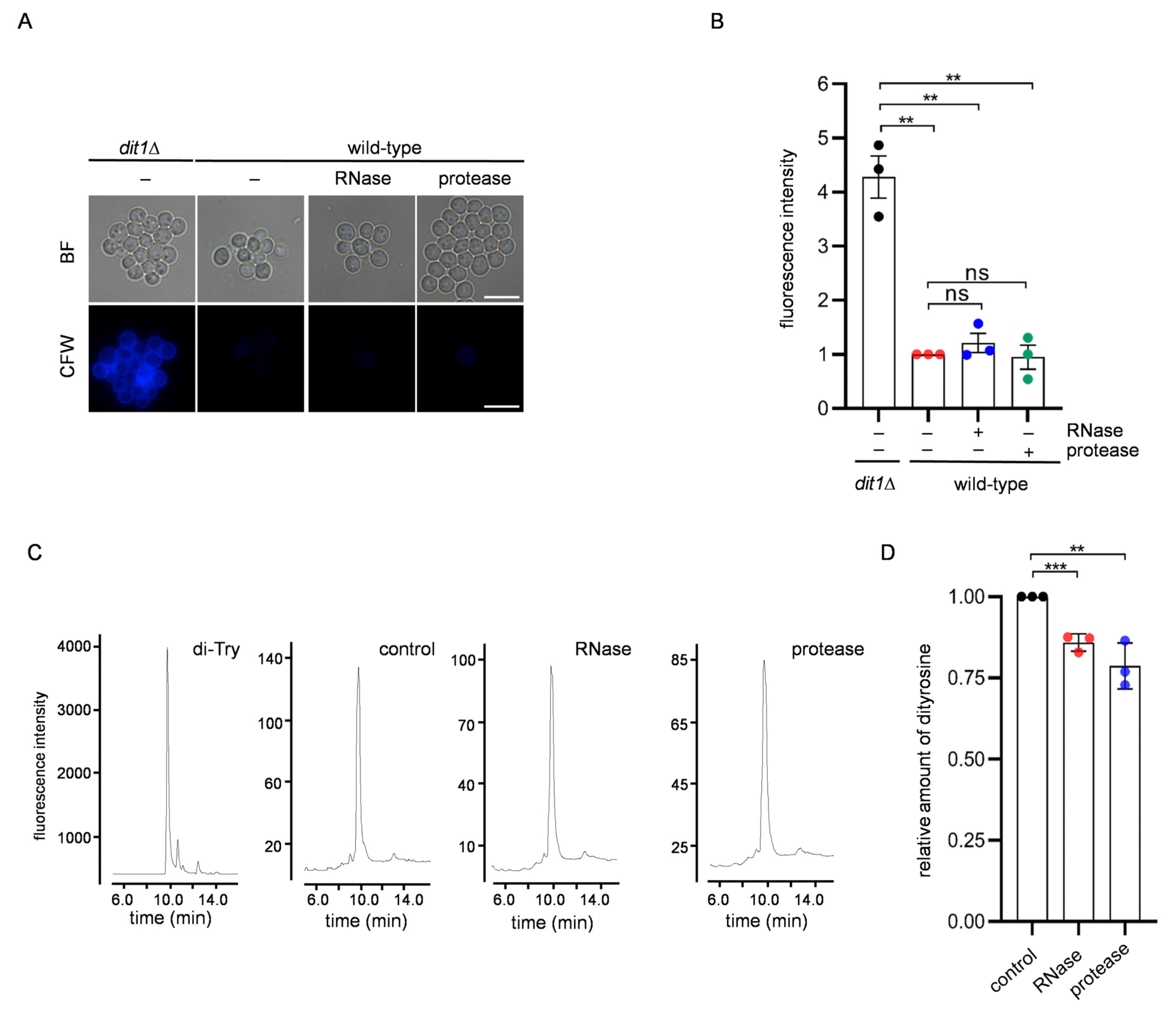 Jof 09 00392 g002 Jof 09 00392 g002
