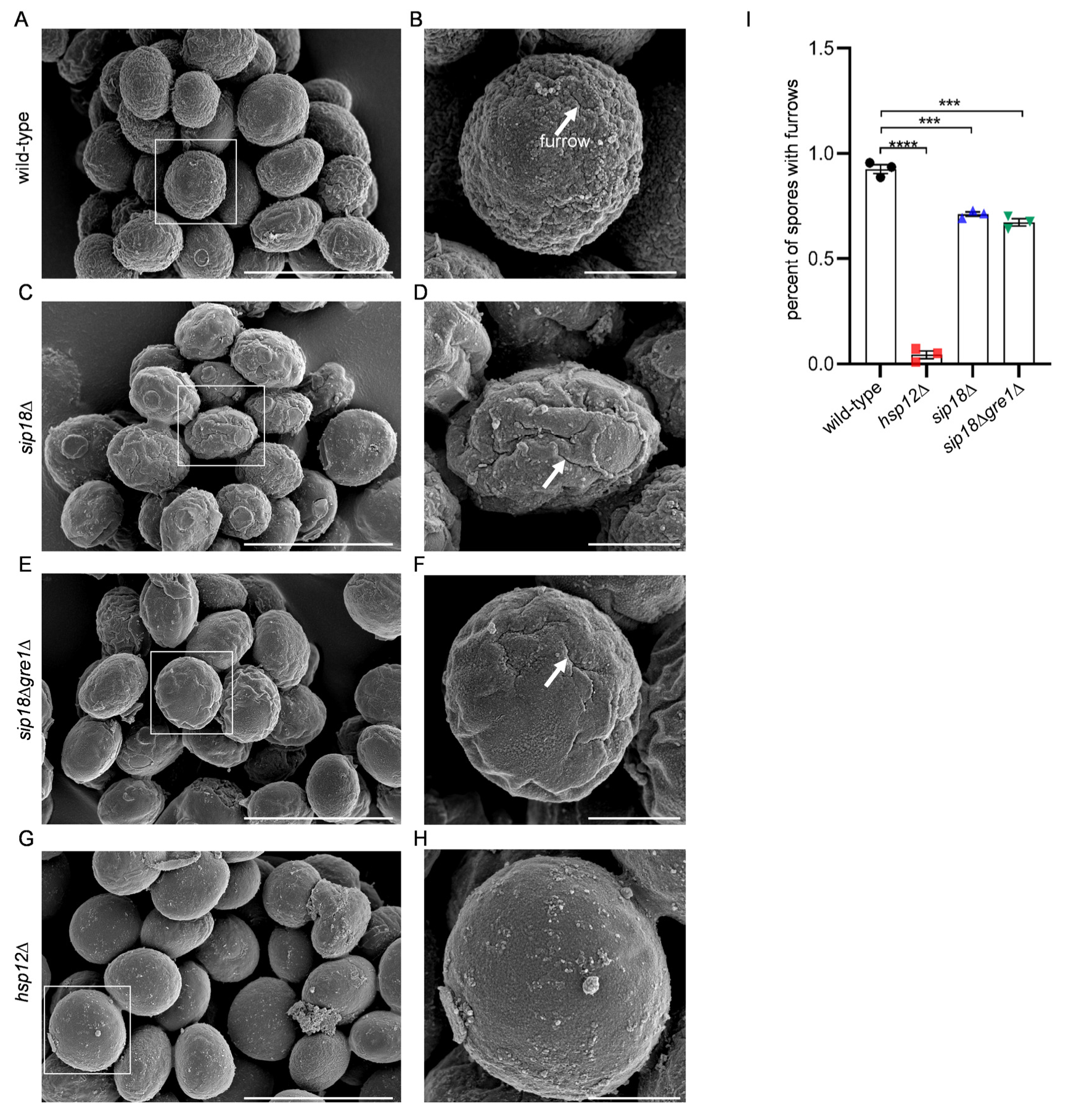 Jof 09 00392 g005 Jof 09 00392 g005
