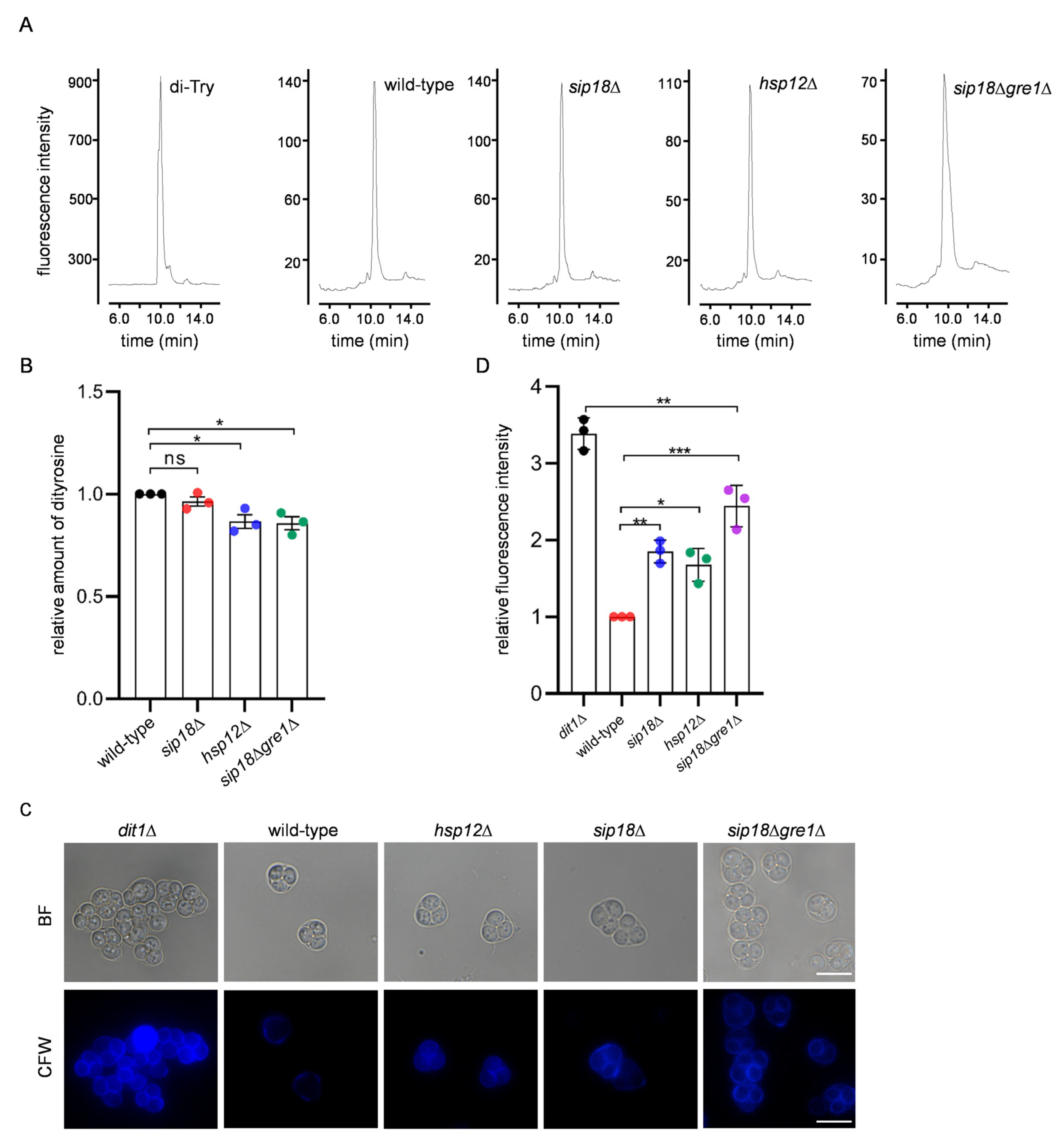 Jof 09 00392 g007 Jof 09 00392 g007