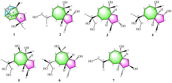 New Guaiane-Type Sesquiterpenoids Biscogniauxiaols A–G with