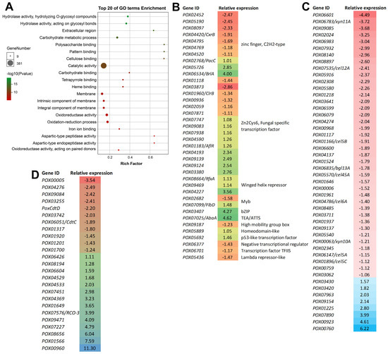 Protein Kinase PoxMKK1 Regulates Plant-Polysaccharide