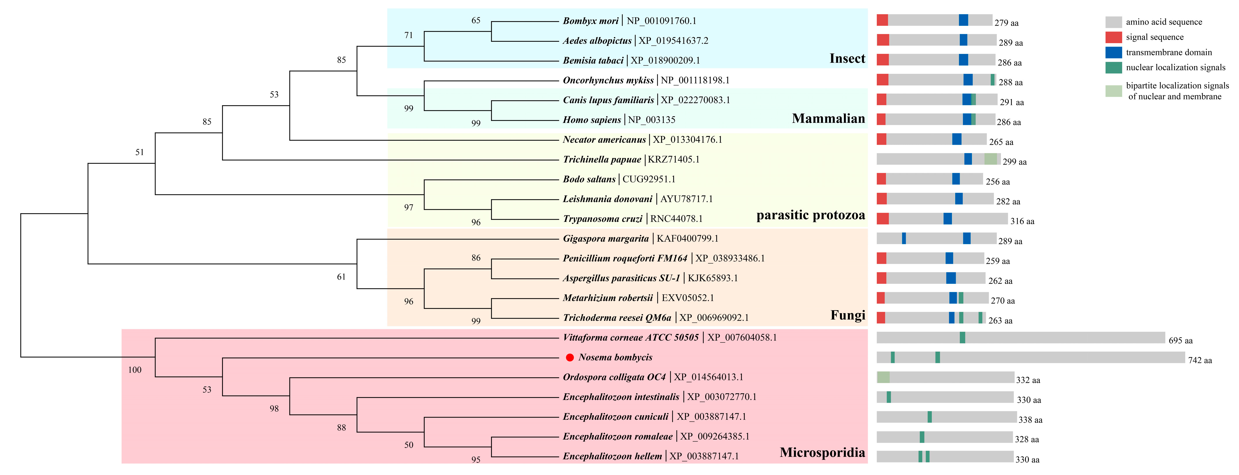 Jof 09 00407 g001 Jof 09 00407 g001