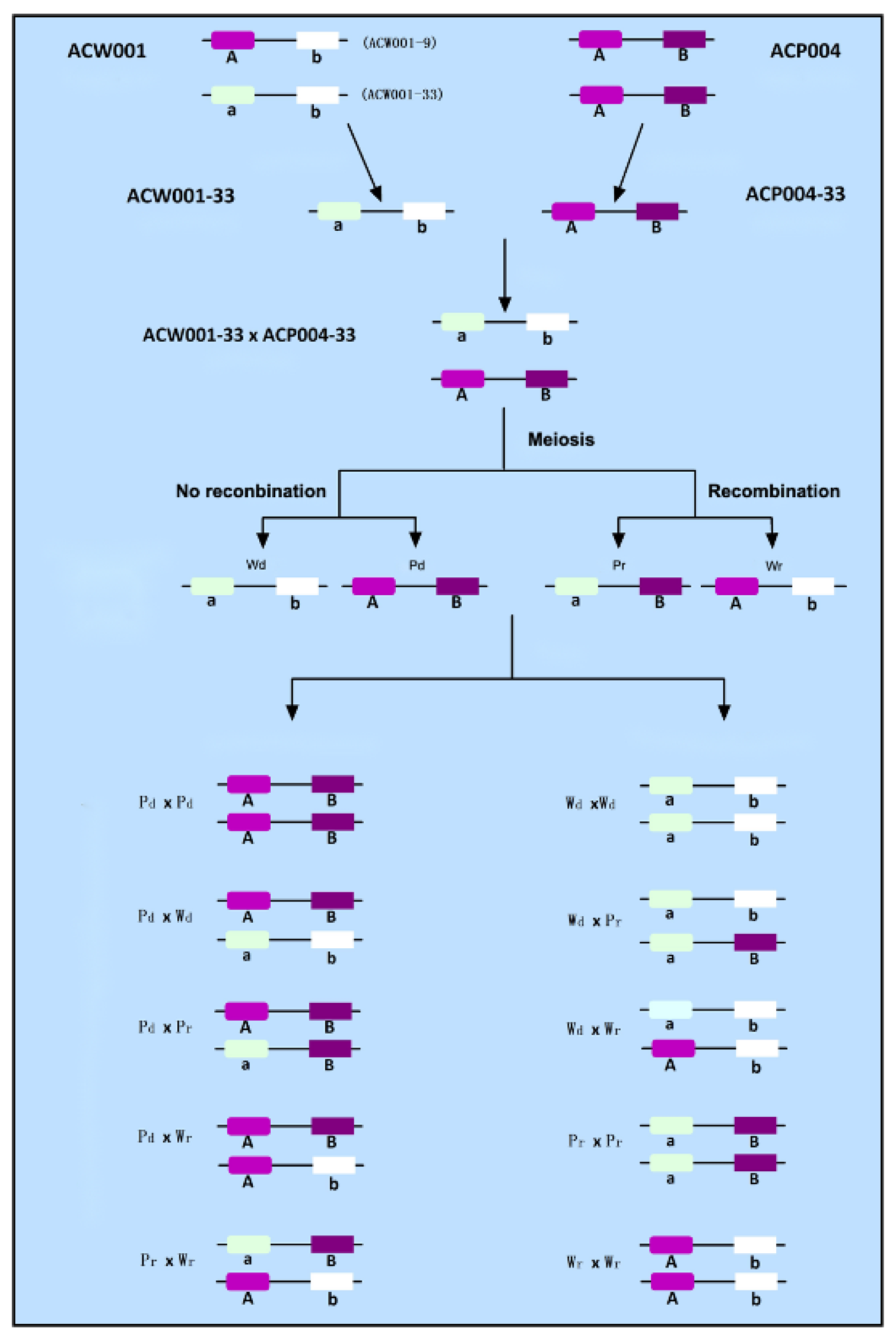 Jof 09 00412 g002 Jof 09 00412 g002