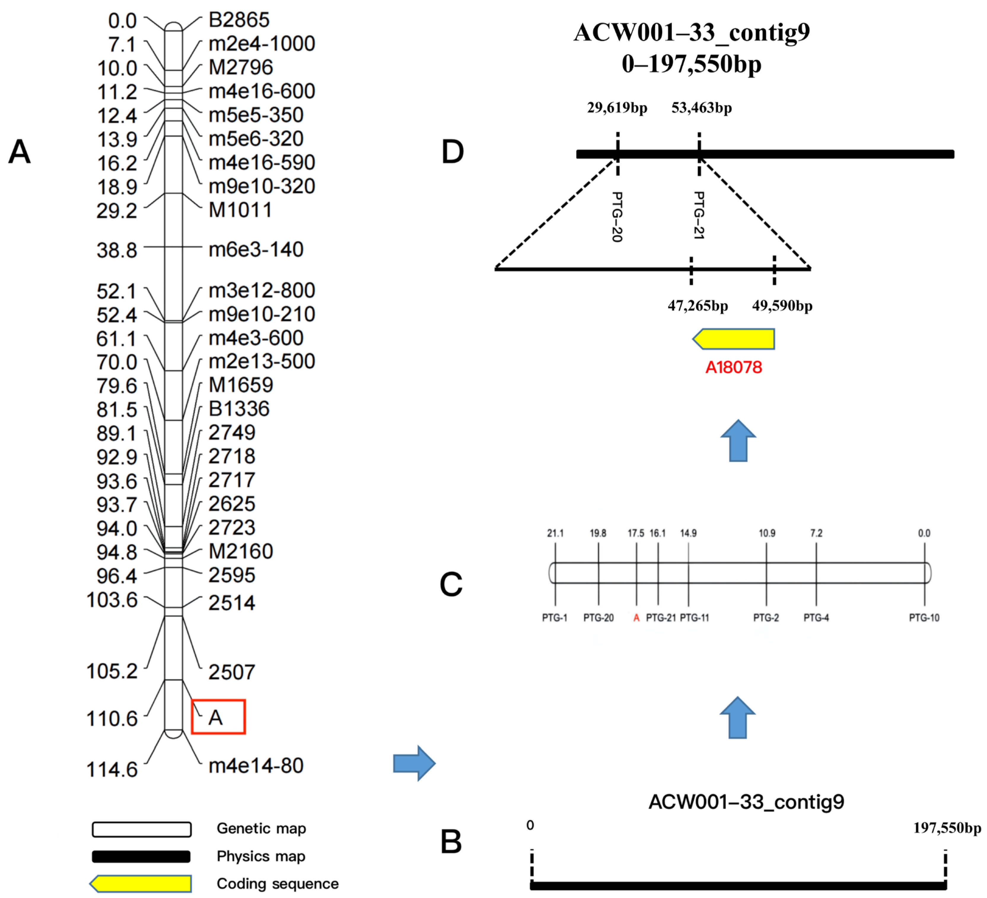 Jof 09 00412 g003 Jof 09 00412 g003