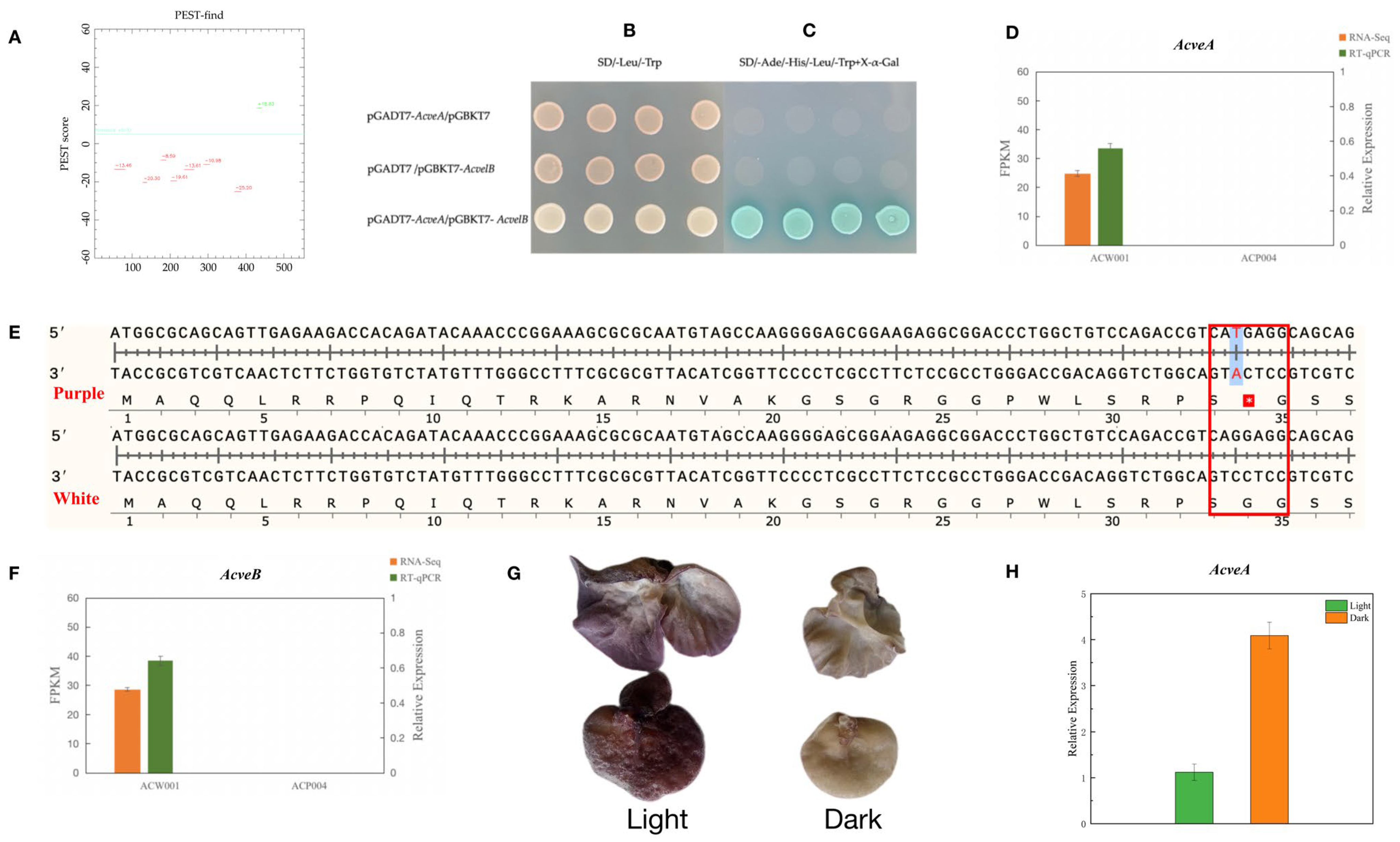 Jof 09 00412 g004 Jof 09 00412 g004