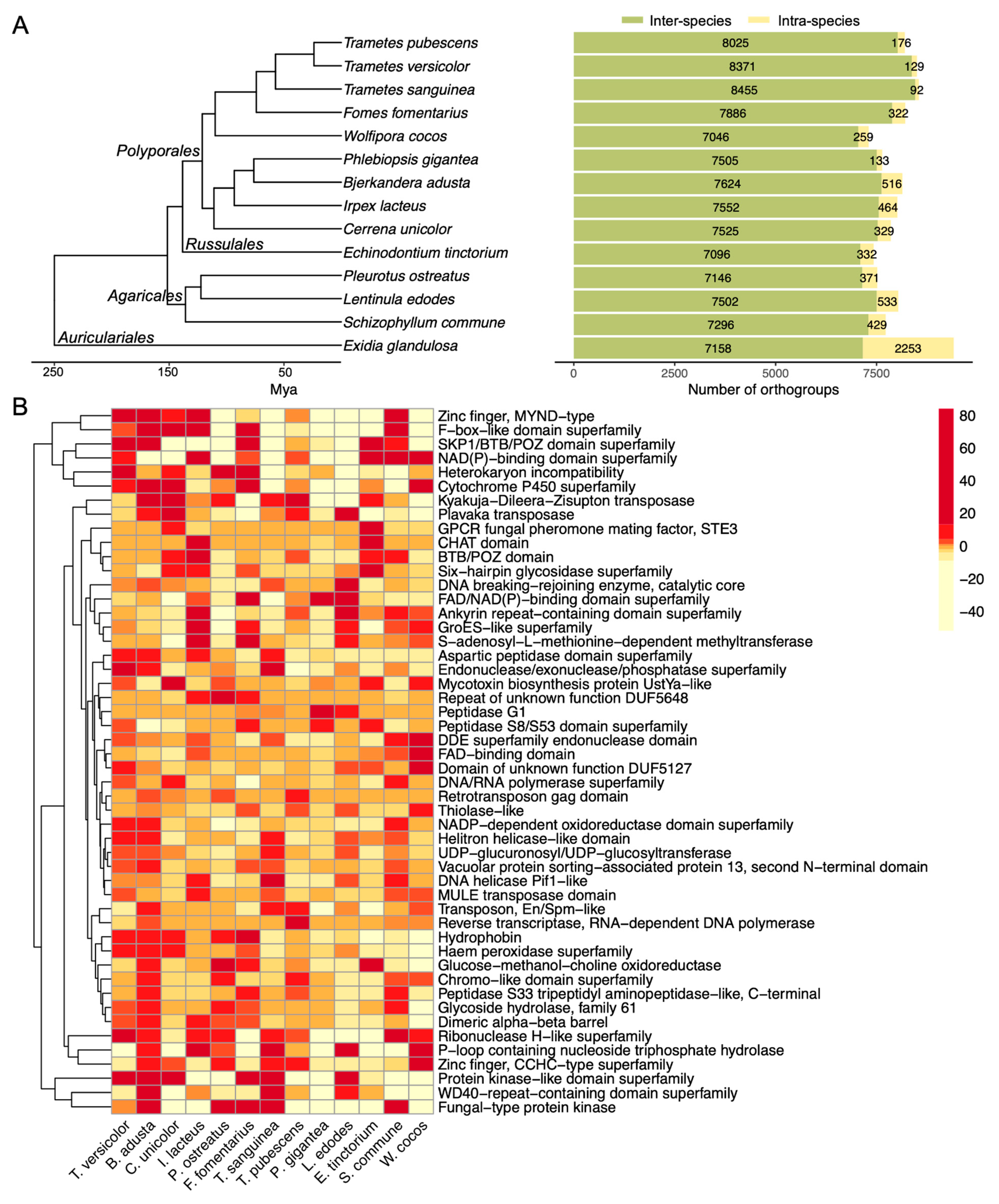Jof 09 00418 g005 Jof 09 00418 g005