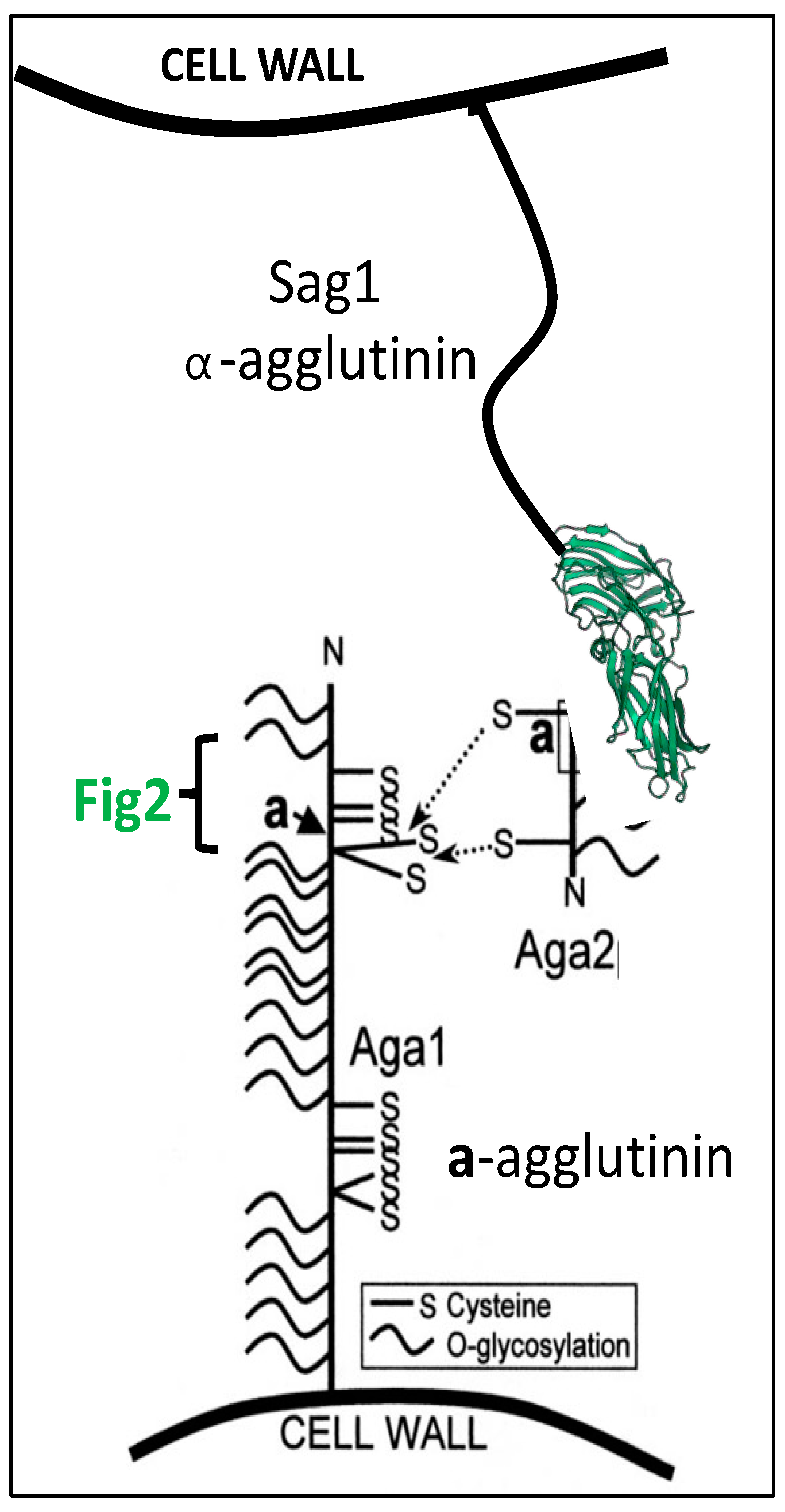 Jof 09 00419 g004 Jof 09 00419 g004