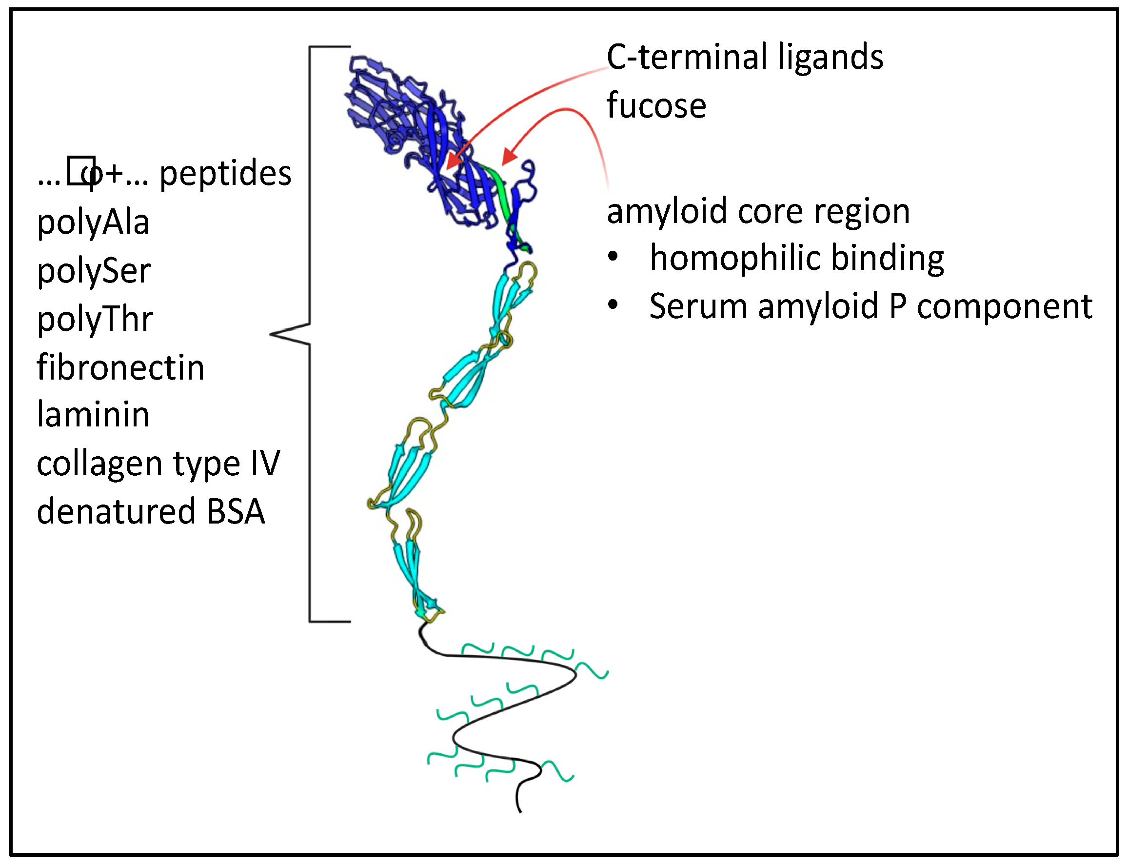 Jof 09 00419 g006 Jof 09 00419 g006