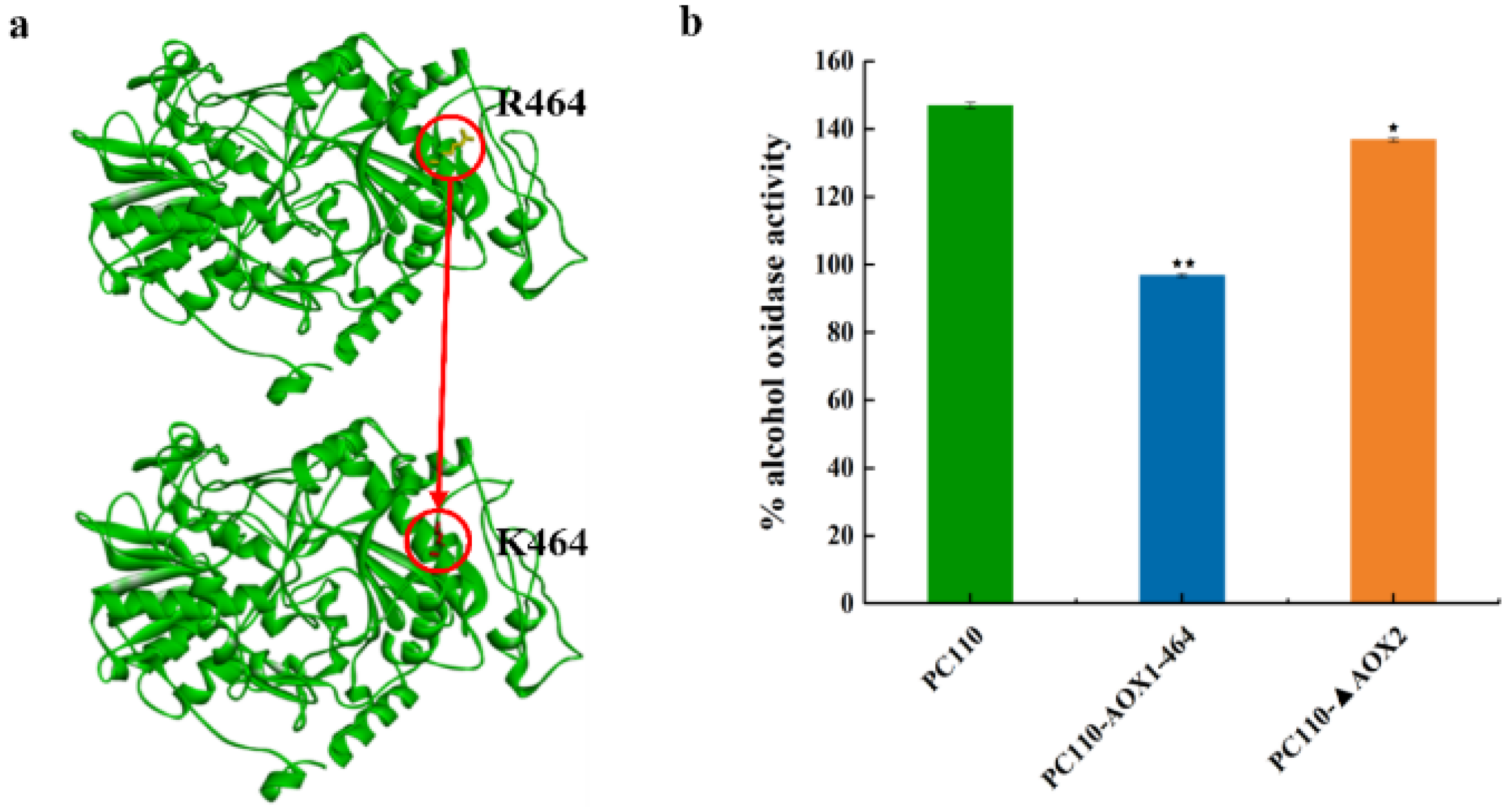 Jof 09 00422 g002 Jof 09 00422 g002