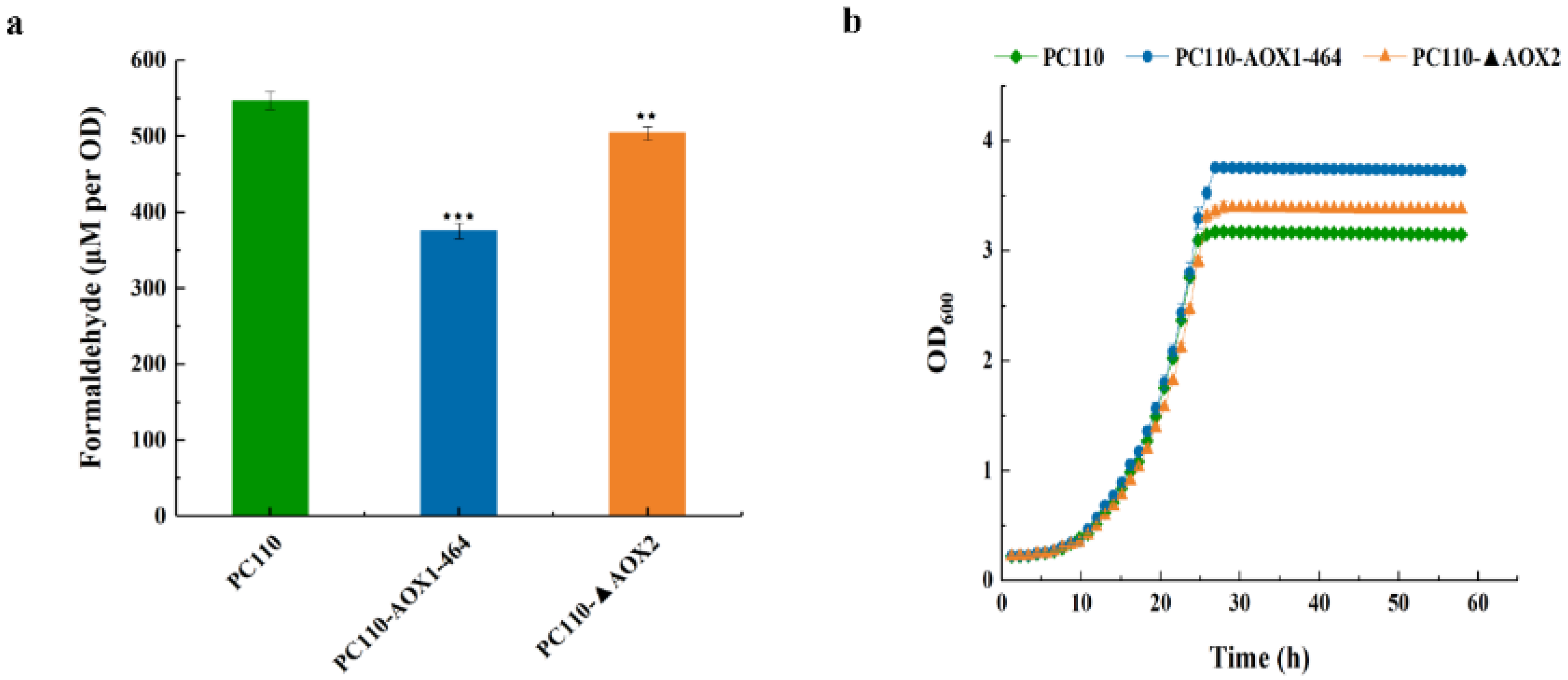 Jof 09 00422 g003 Jof 09 00422 g003