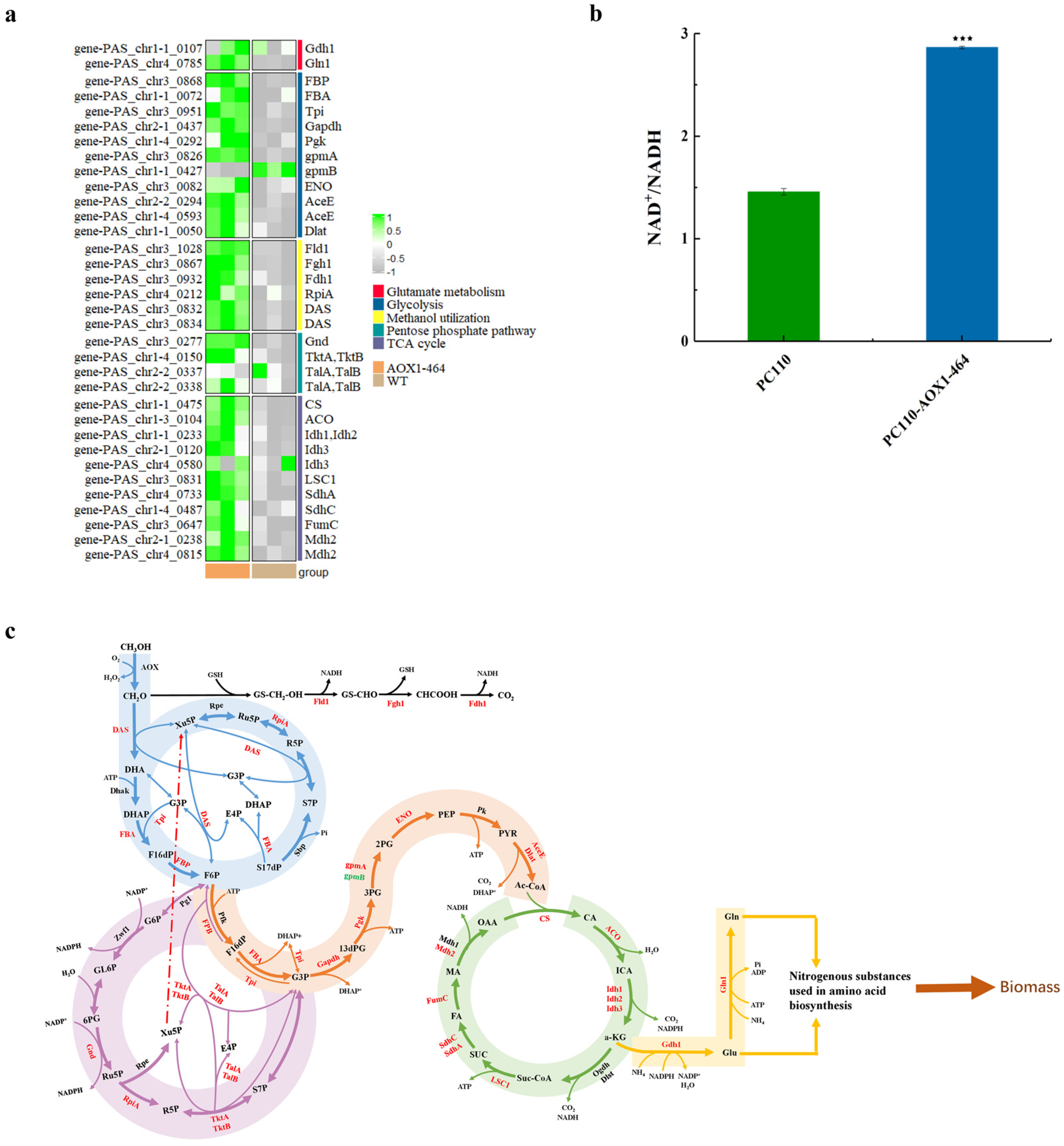 Jof 09 00422 g004 Jof 09 00422 g004