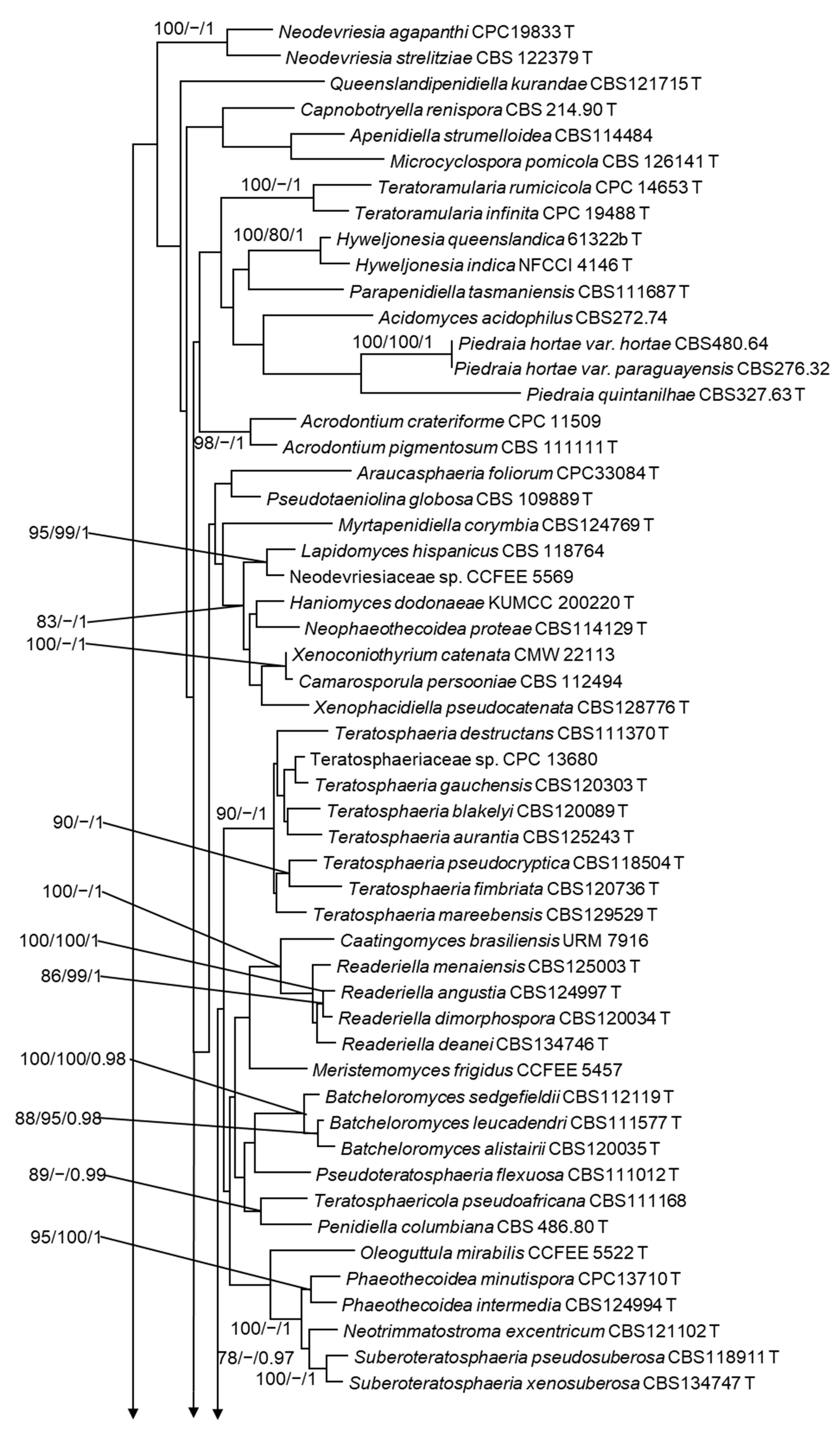 Jof 09 00423 g003a Jof 09 00423 g003a