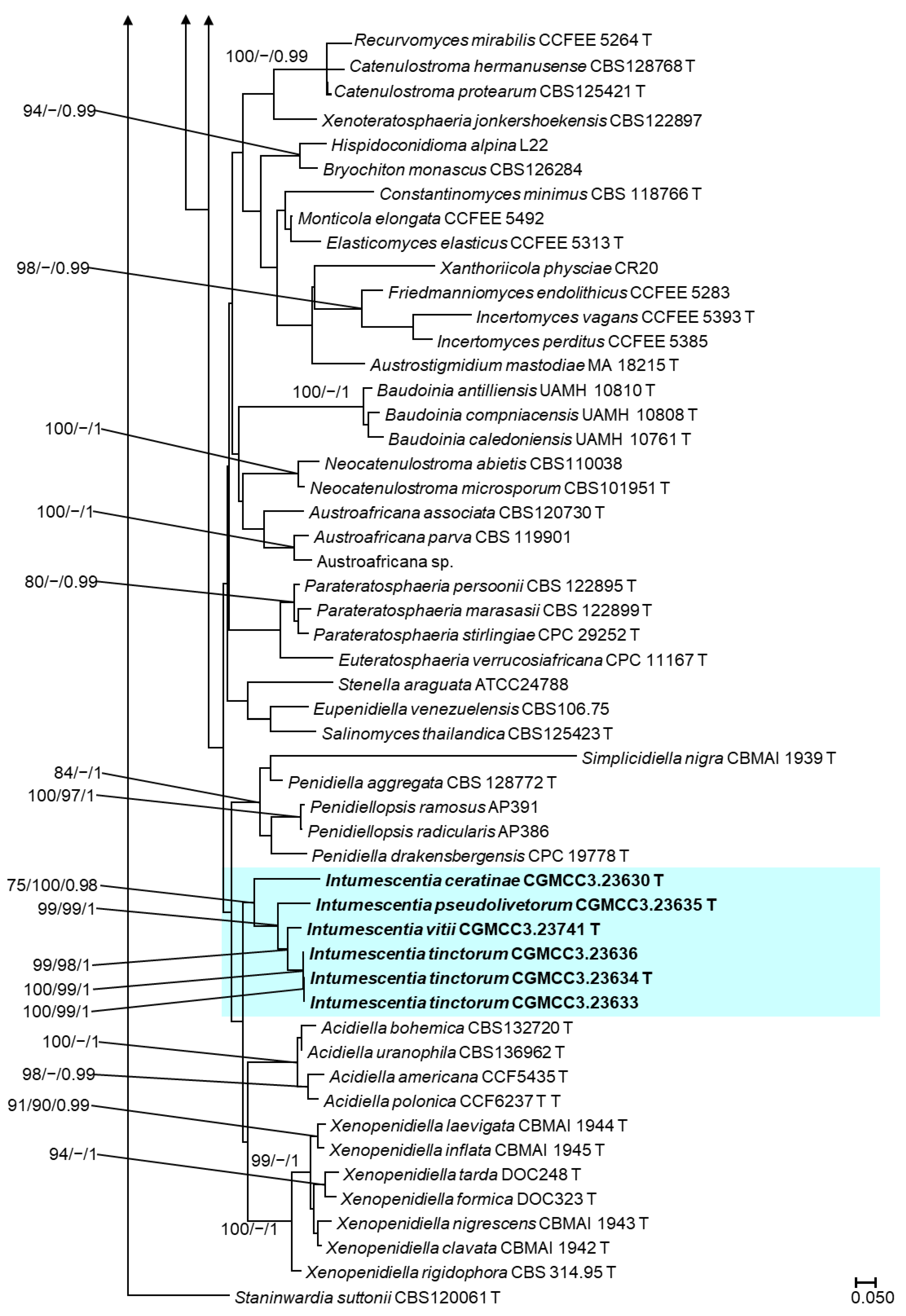 Jof 09 00423 g003b Jof 09 00423 g003b