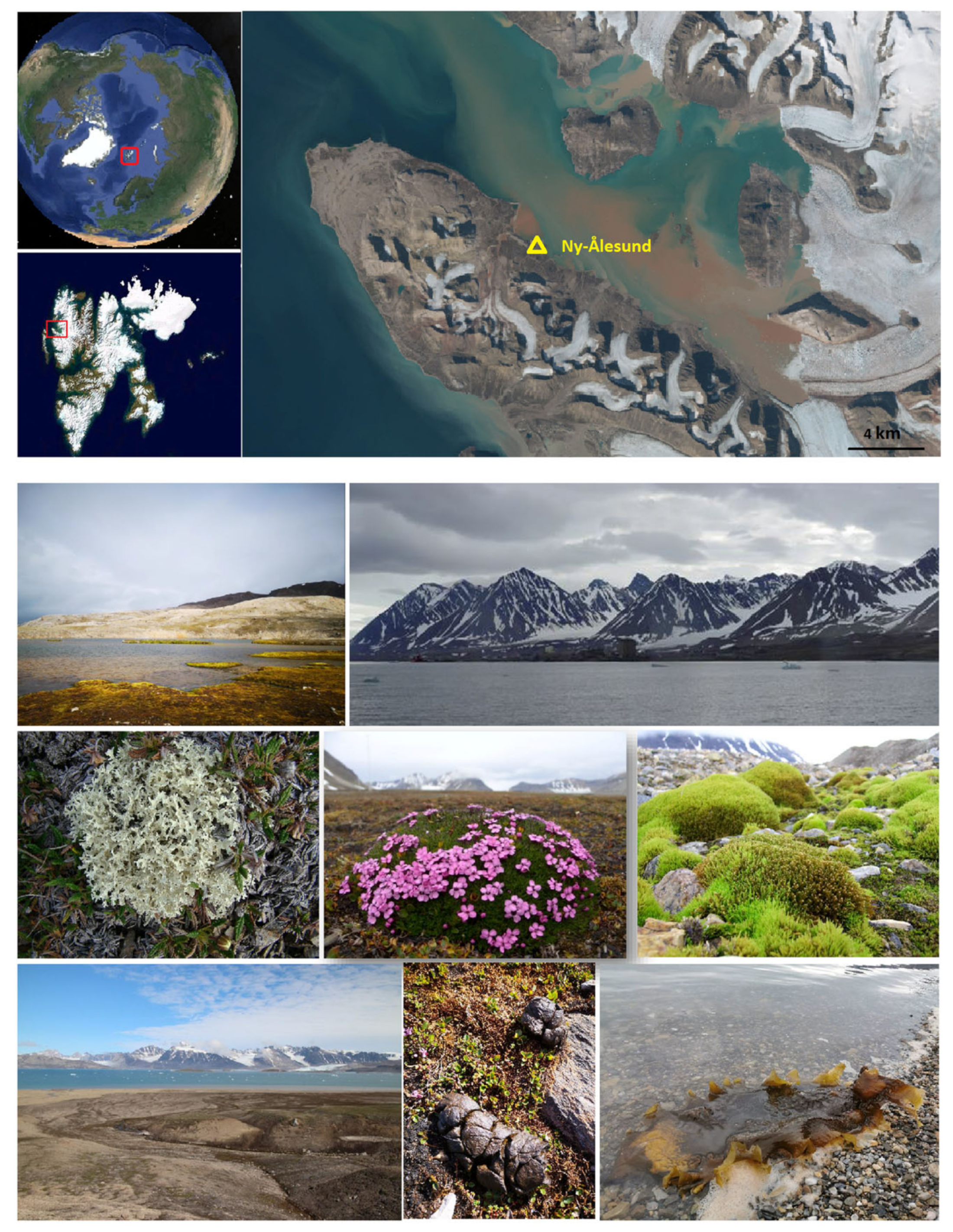 Jof 09 00437 g001 Jof 09 00437 g001