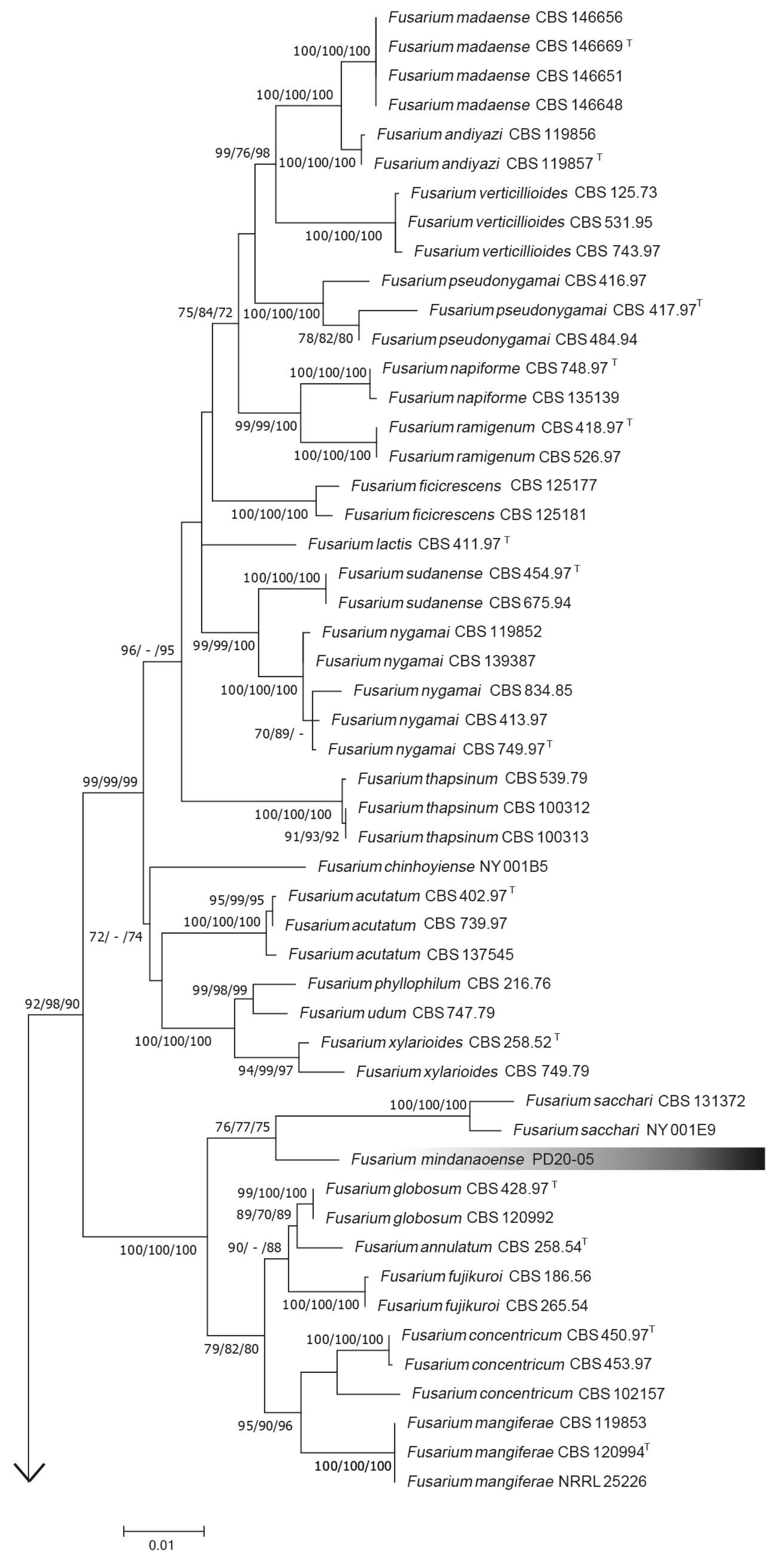 Jof 09 00443 g002a Jof 09 00443 g002a