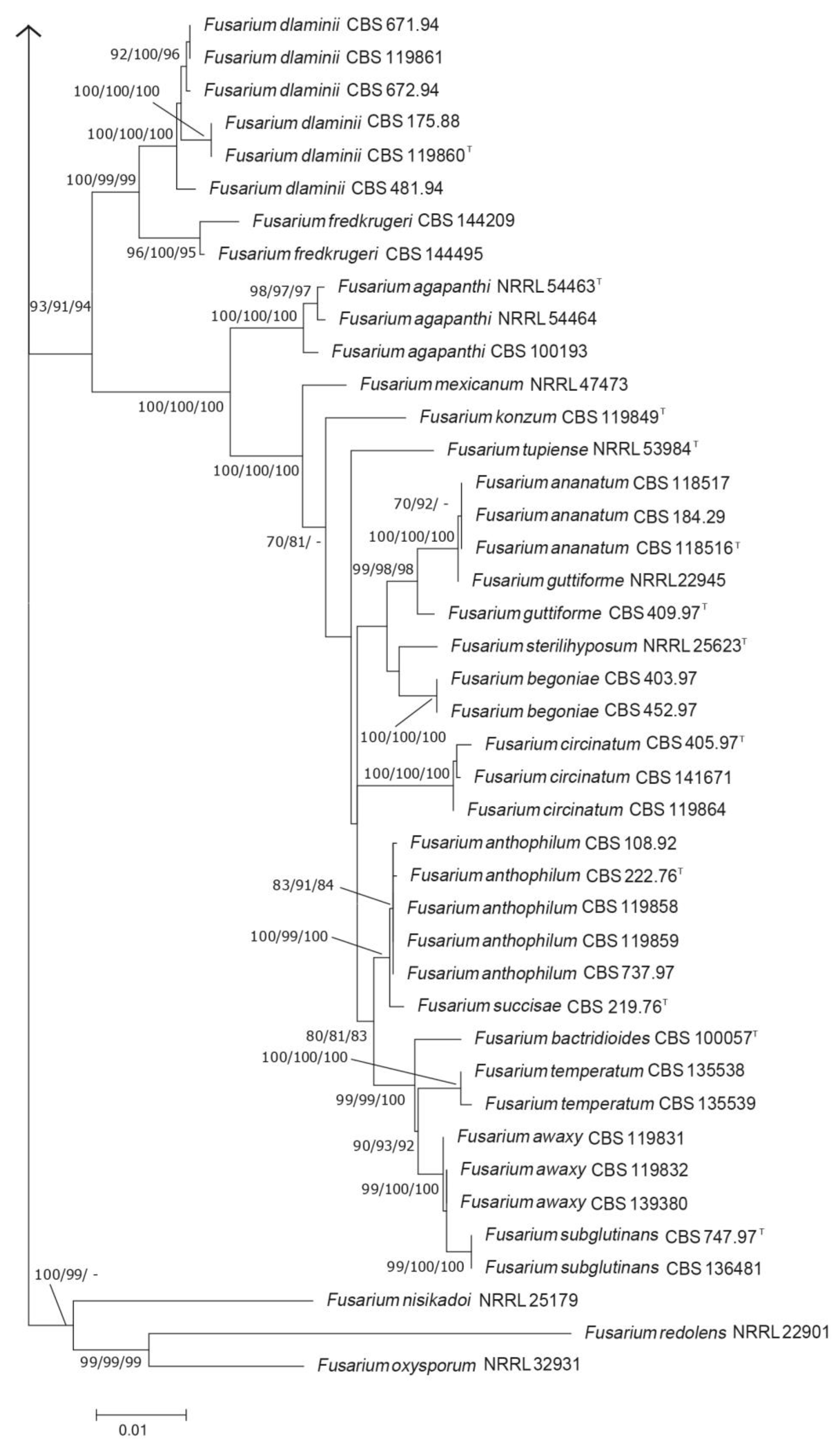 Jof 09 00443 g002b Jof 09 00443 g002b