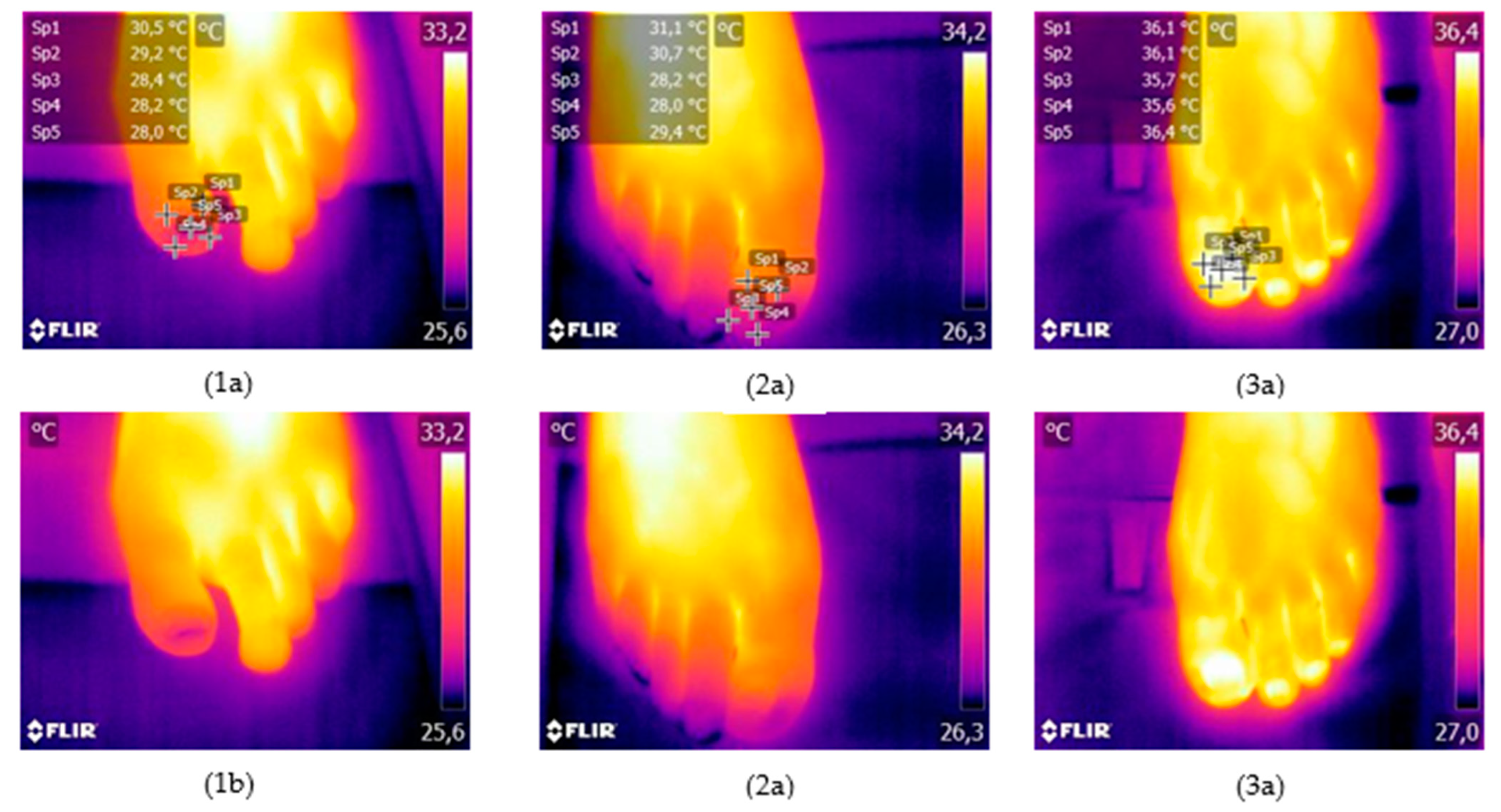 Jof 09 00444 g003 Jof 09 00444 g003