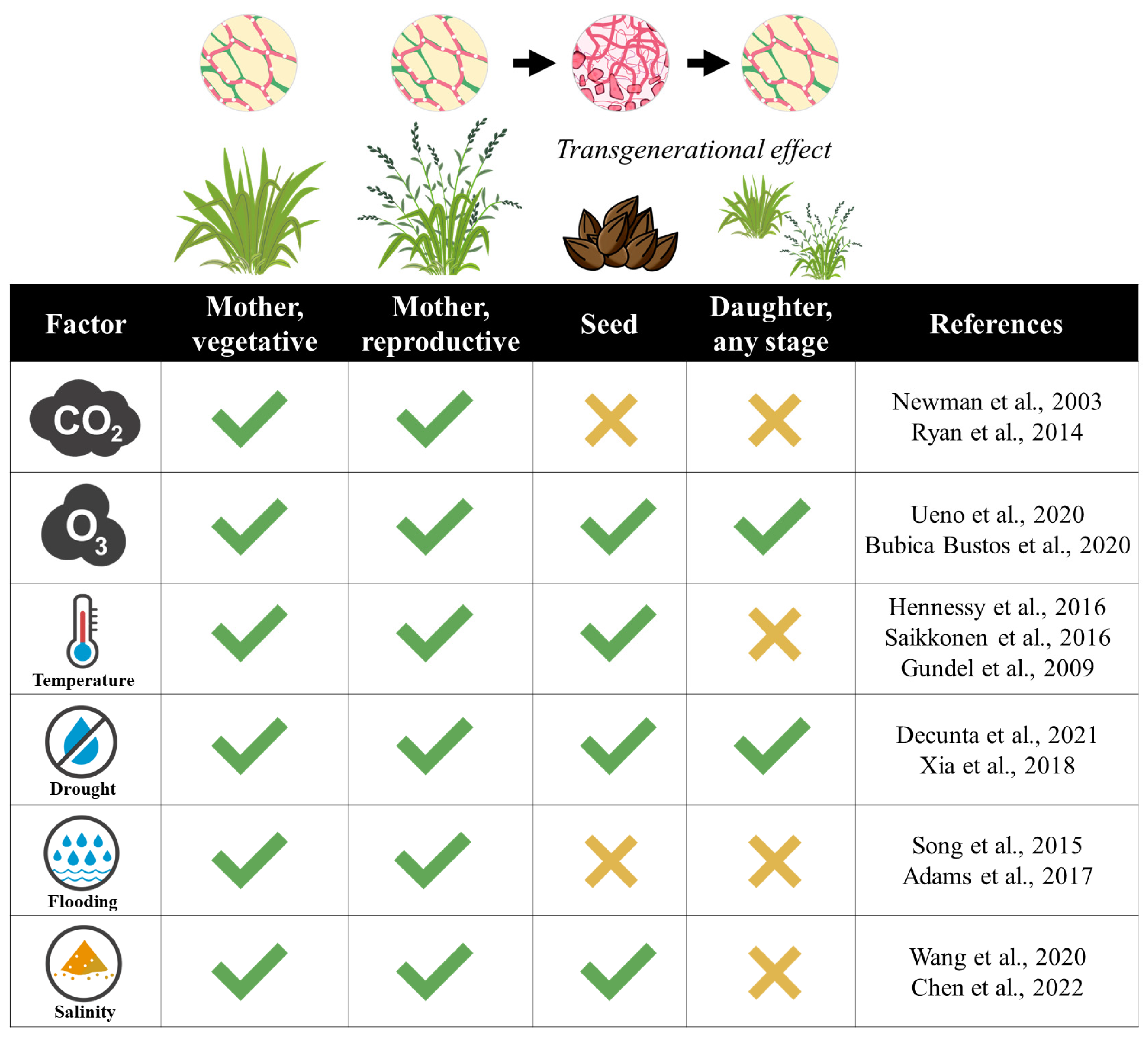 Jof 09 00446 g001 Jof 09 00446 g001