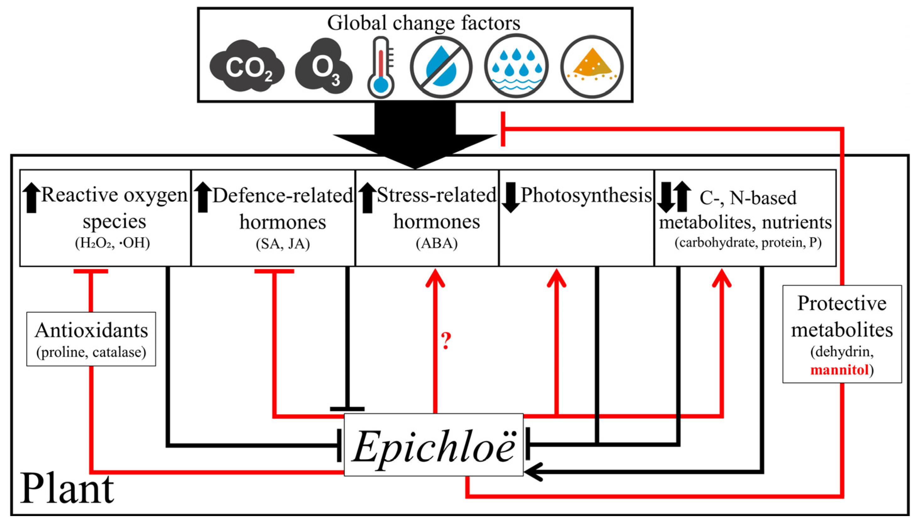 Jof 09 00446 g002 Jof 09 00446 g002