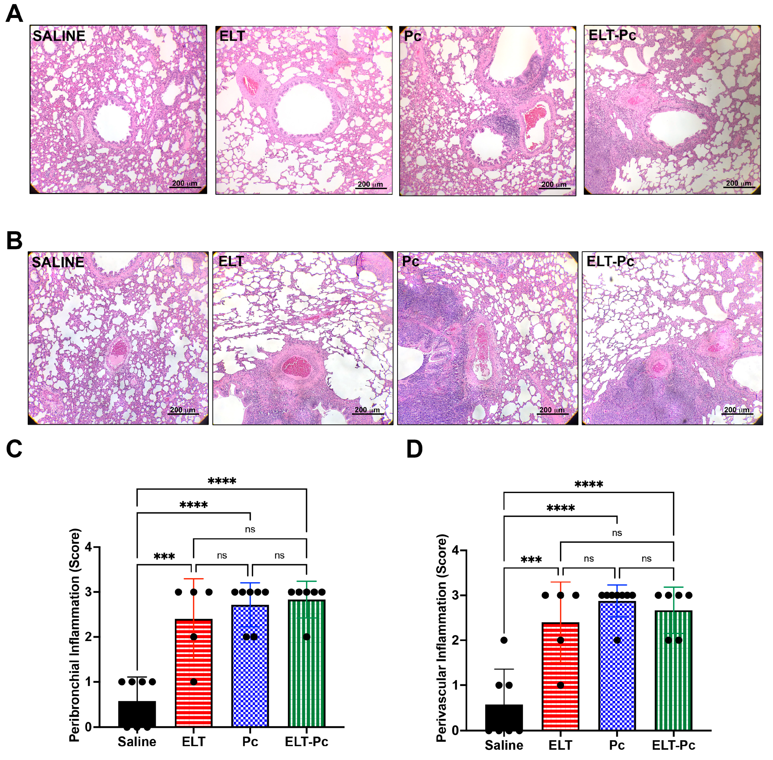 Jof 09 00452 g002 Jof 09 00452 g002