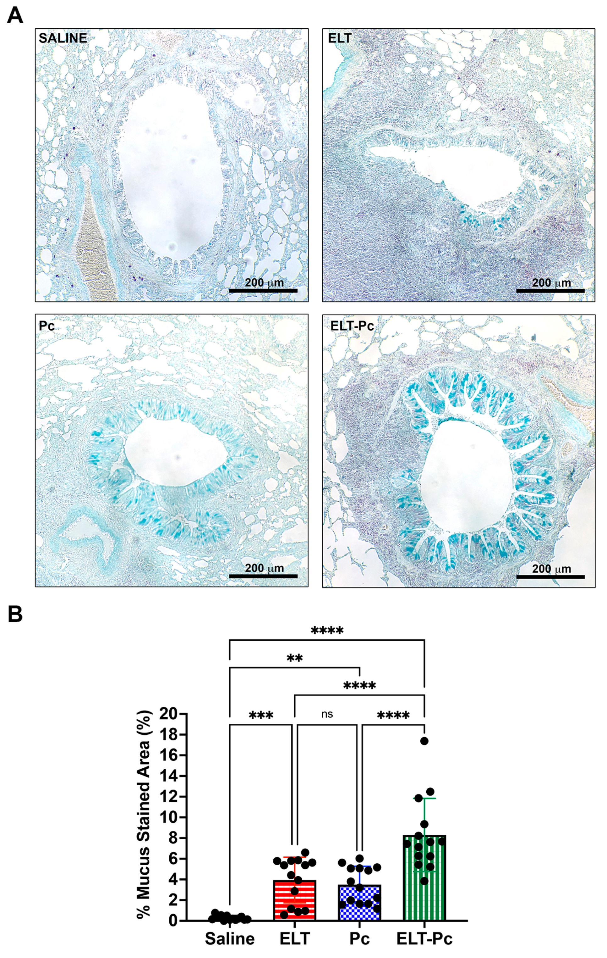 Jof 09 00452 g004 Jof 09 00452 g004