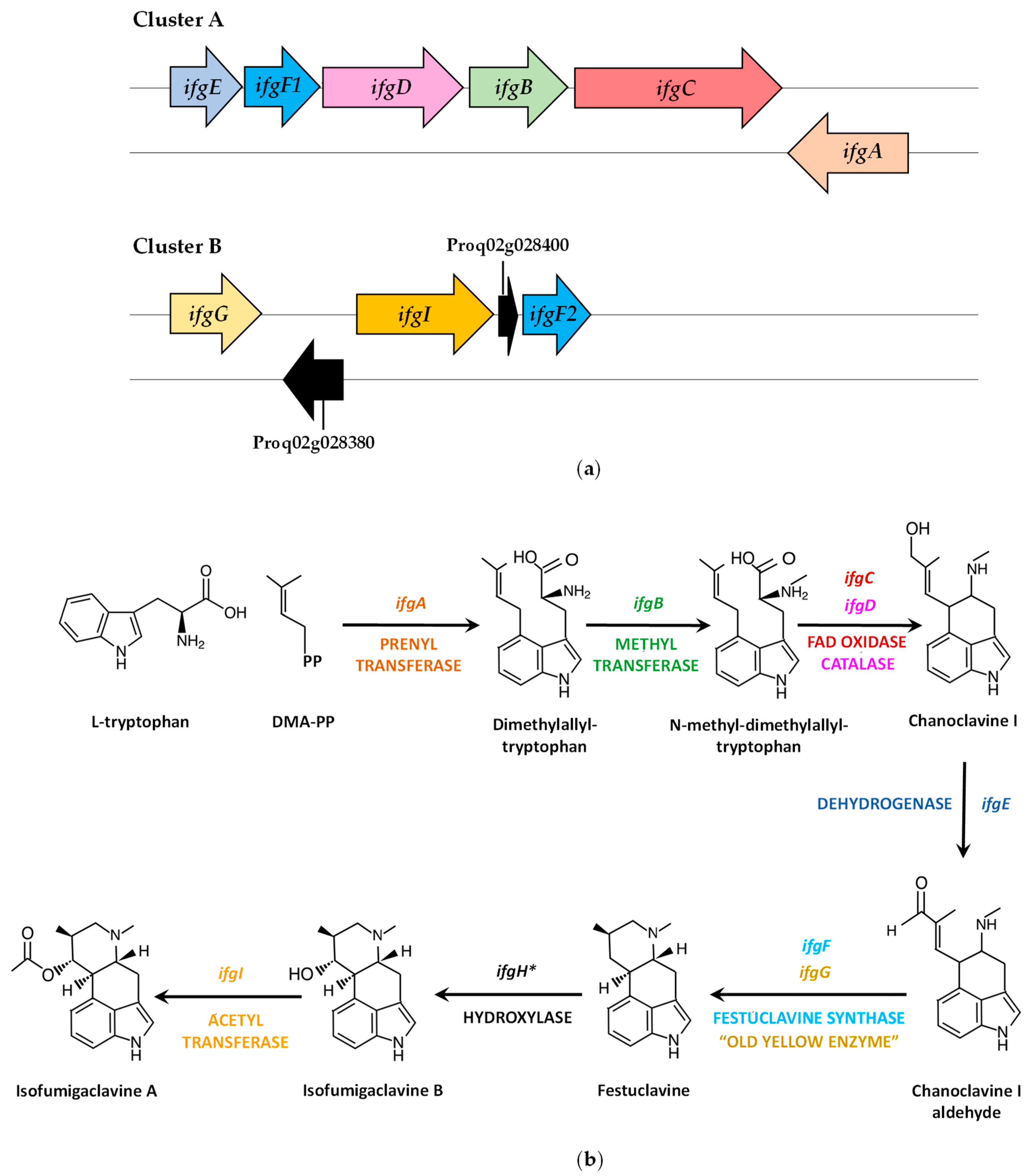 Jof 09 00459 g003 Jof 09 00459 g003