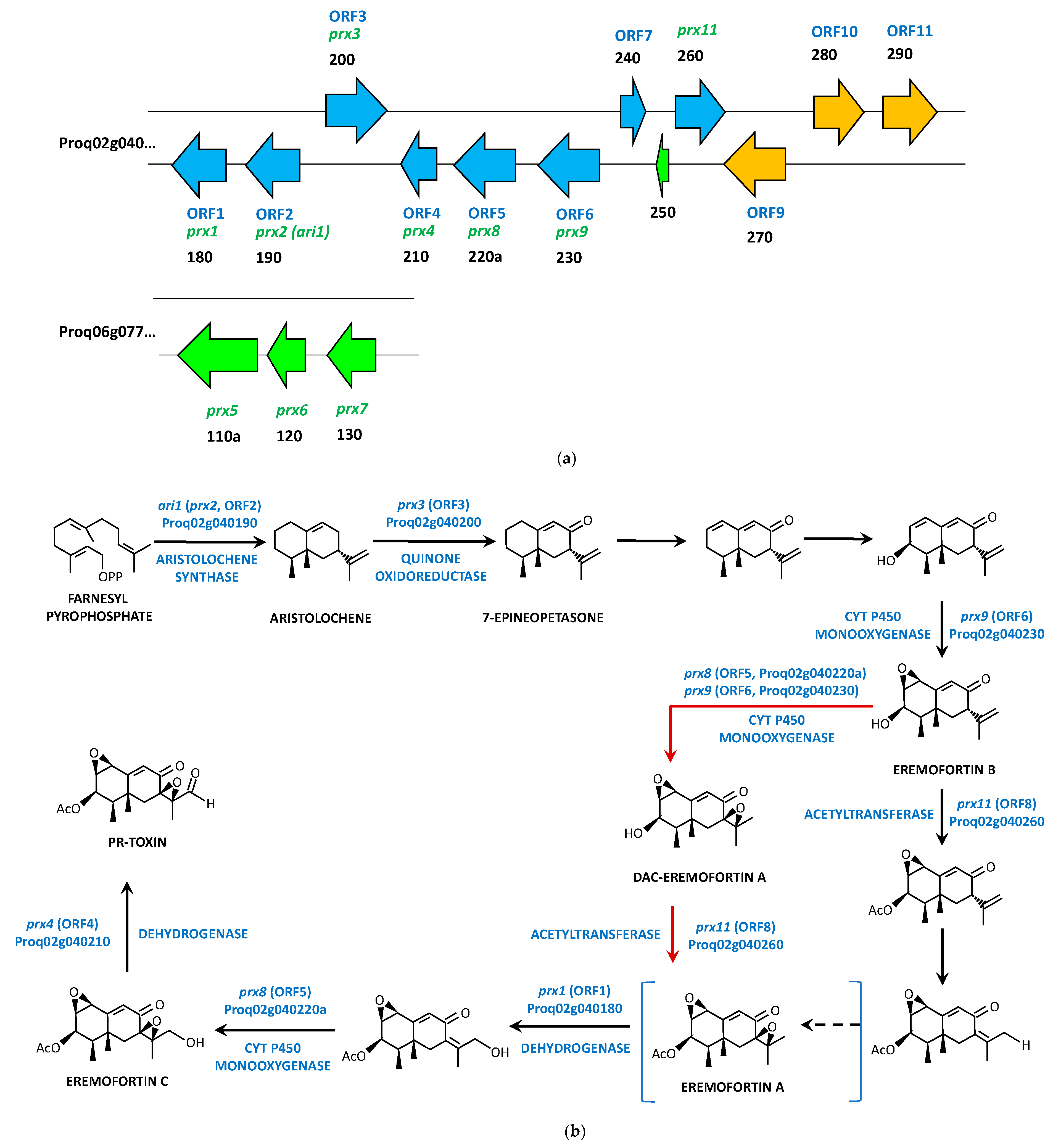 Jof 09 00459 g004 Jof 09 00459 g004