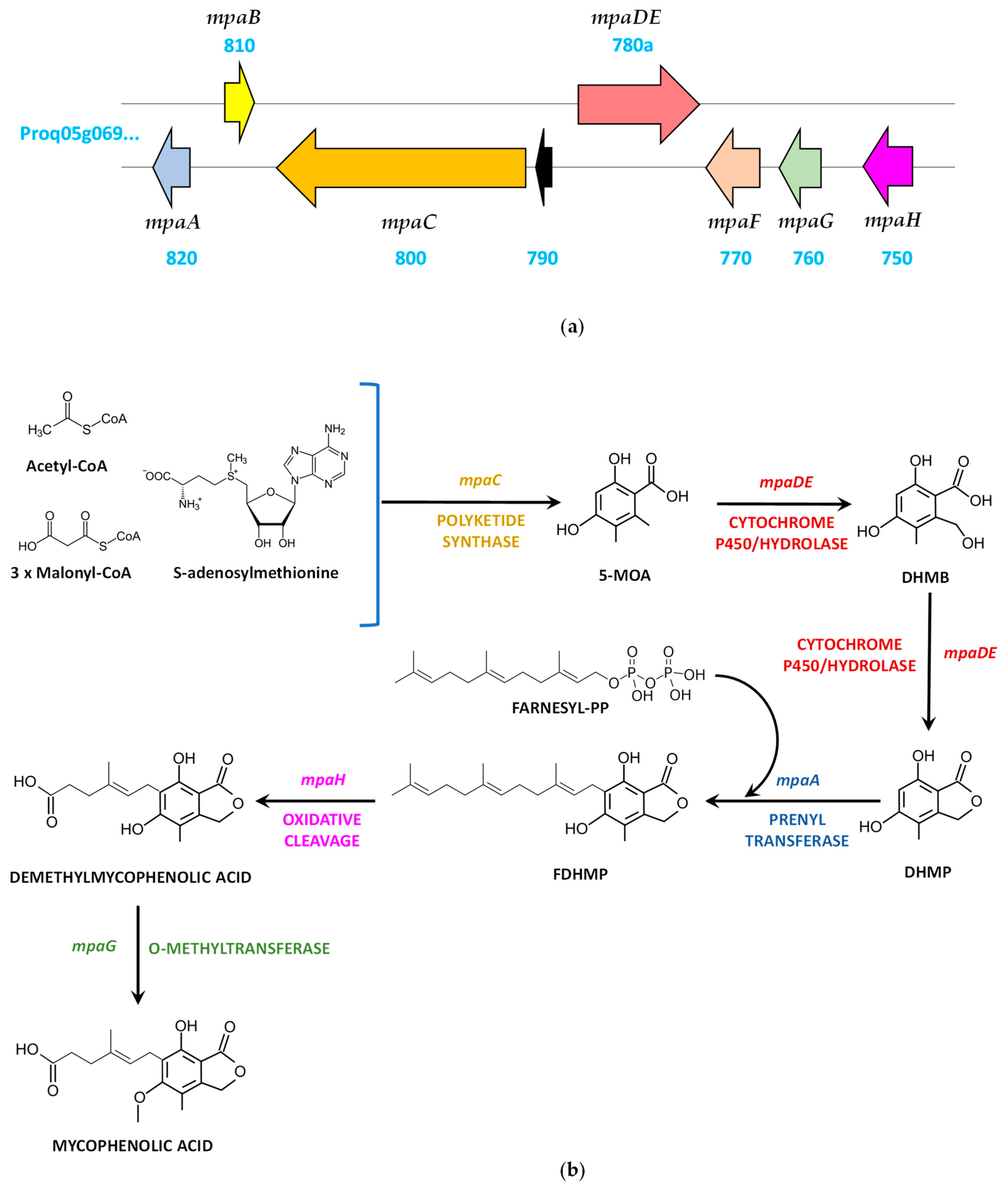 Jof 09 00459 g005 Jof 09 00459 g005
