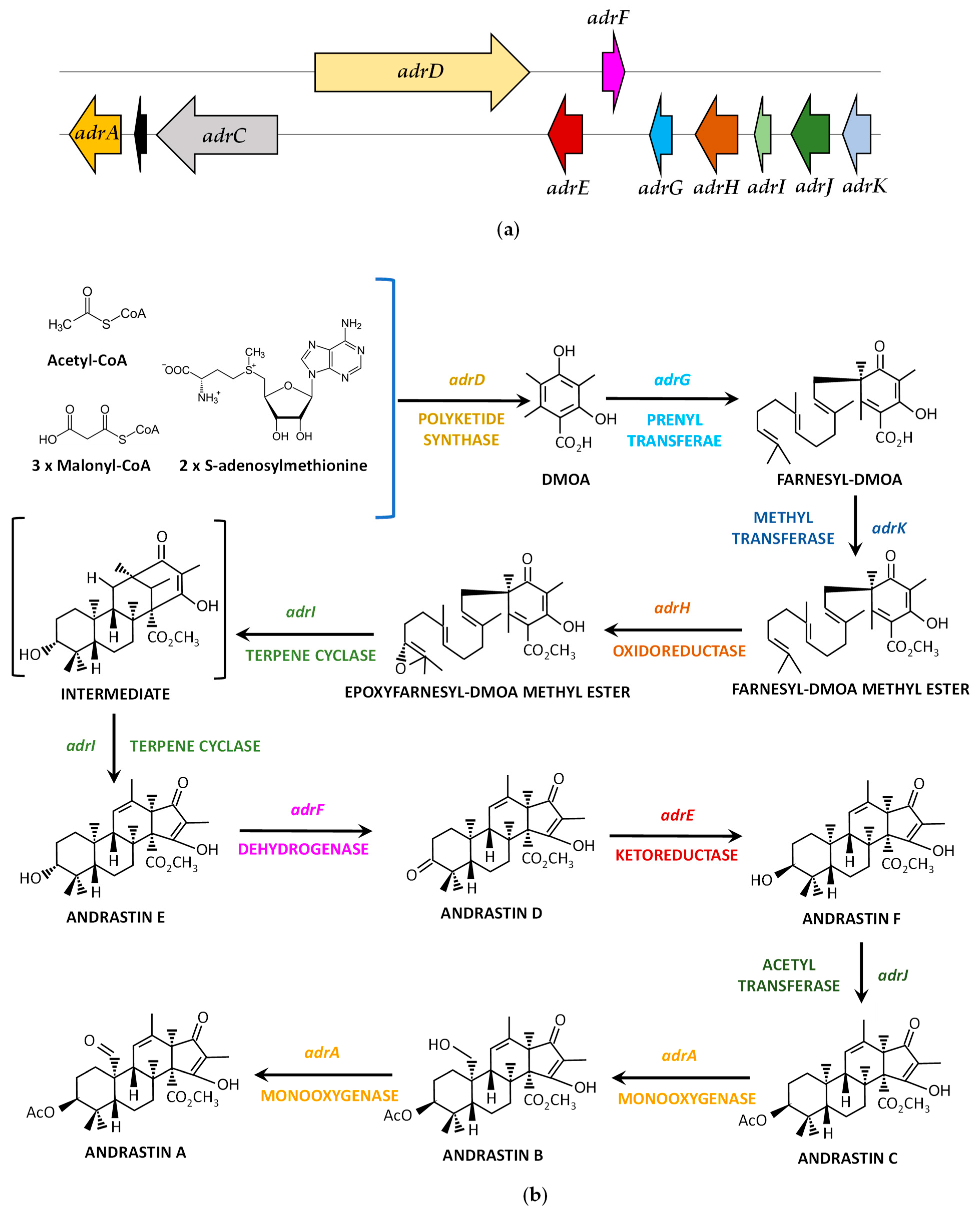 Jof 09 00459 g006 Jof 09 00459 g006