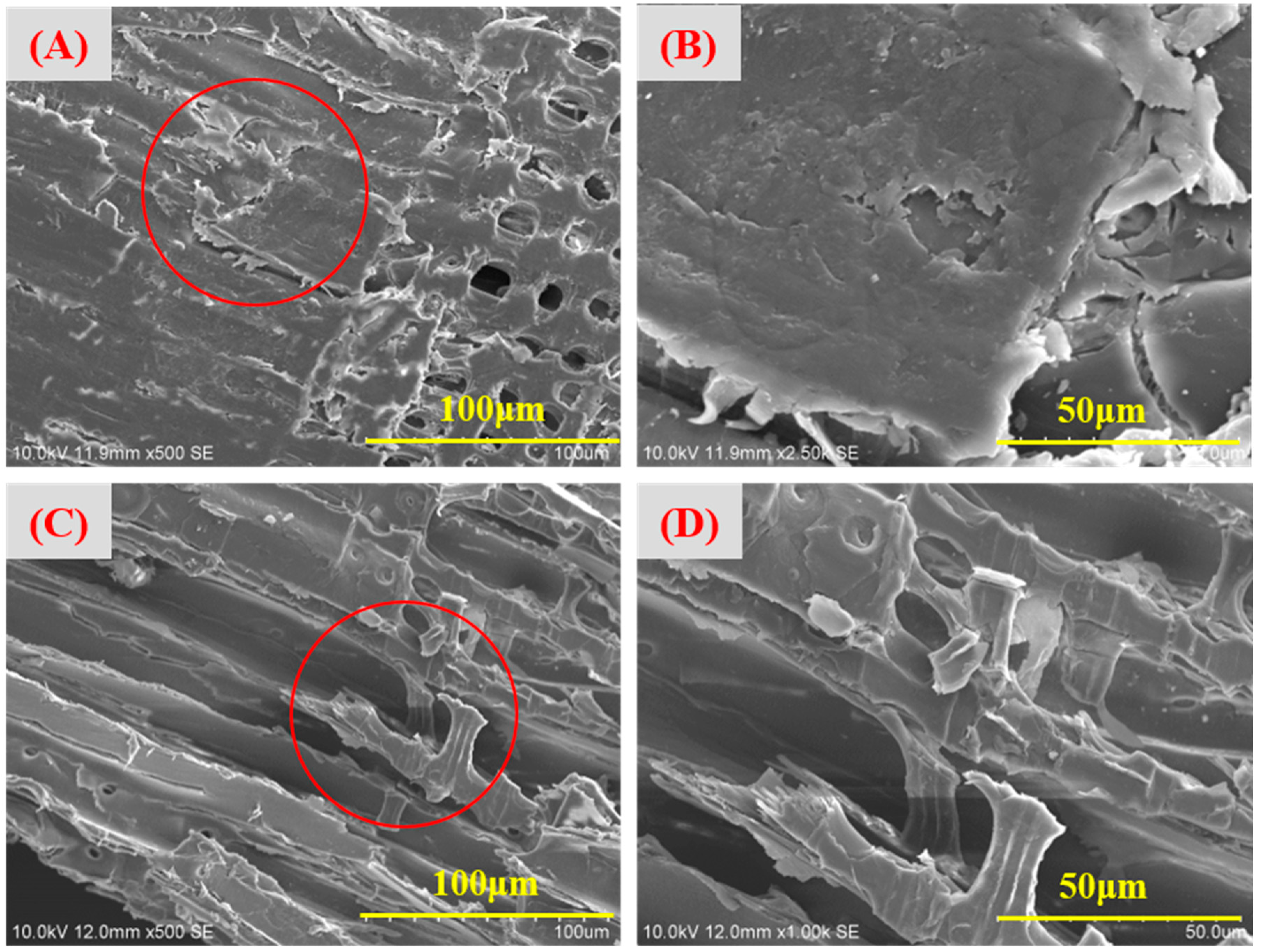 Jof 09 00469 g001 Jof 09 00469 g001