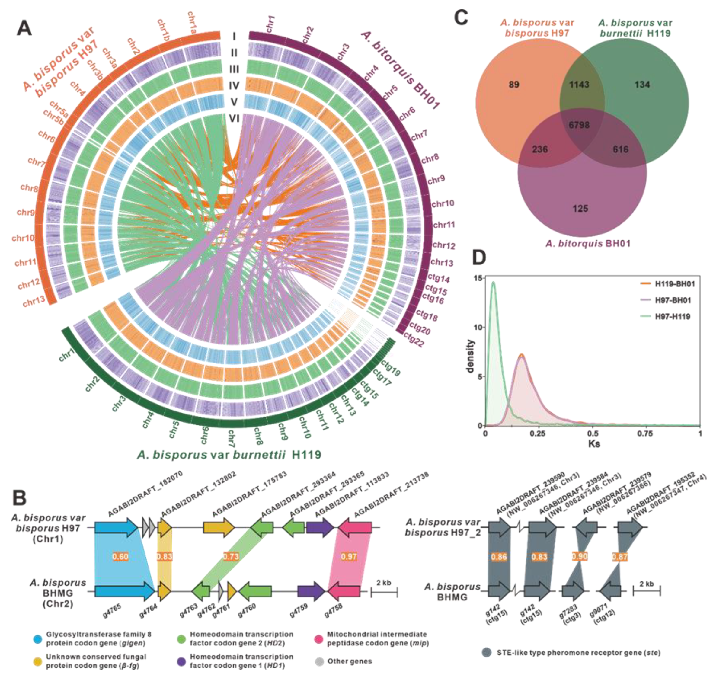 Jof 09 00485 g002 Jof 09 00485 g002