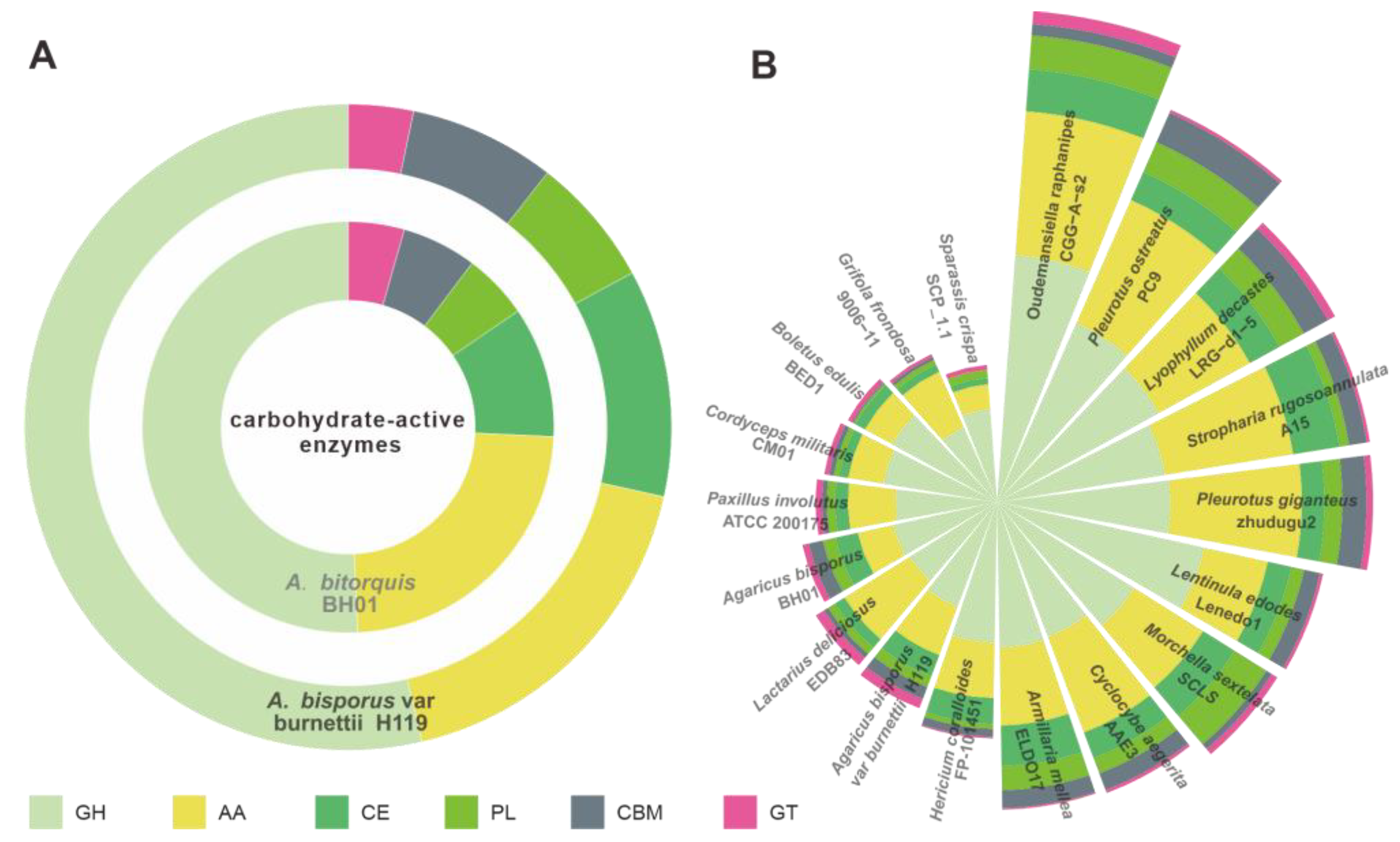 Jof 09 00485 g004 Jof 09 00485 g004