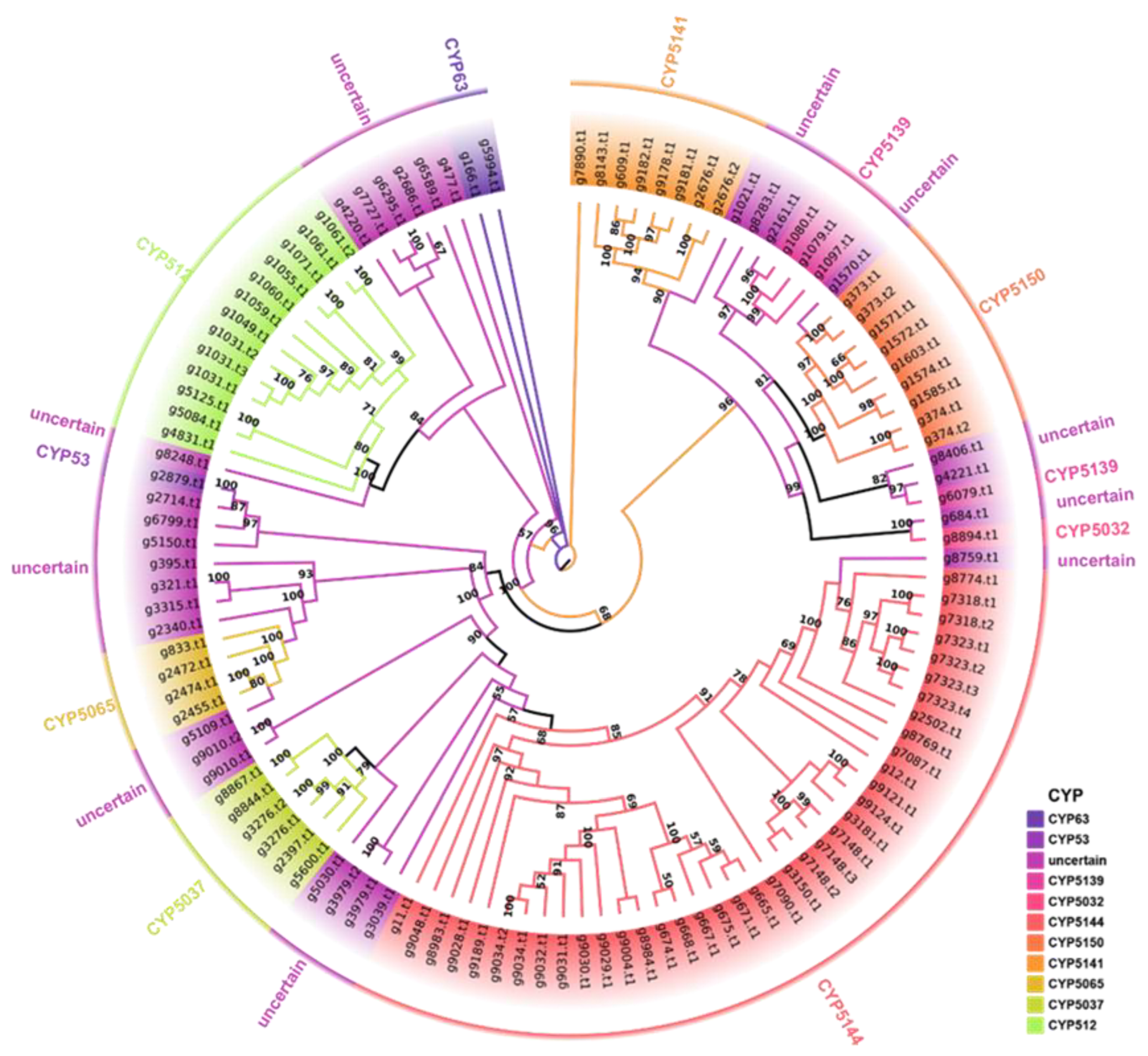 Jof 09 00485 g005 Jof 09 00485 g005