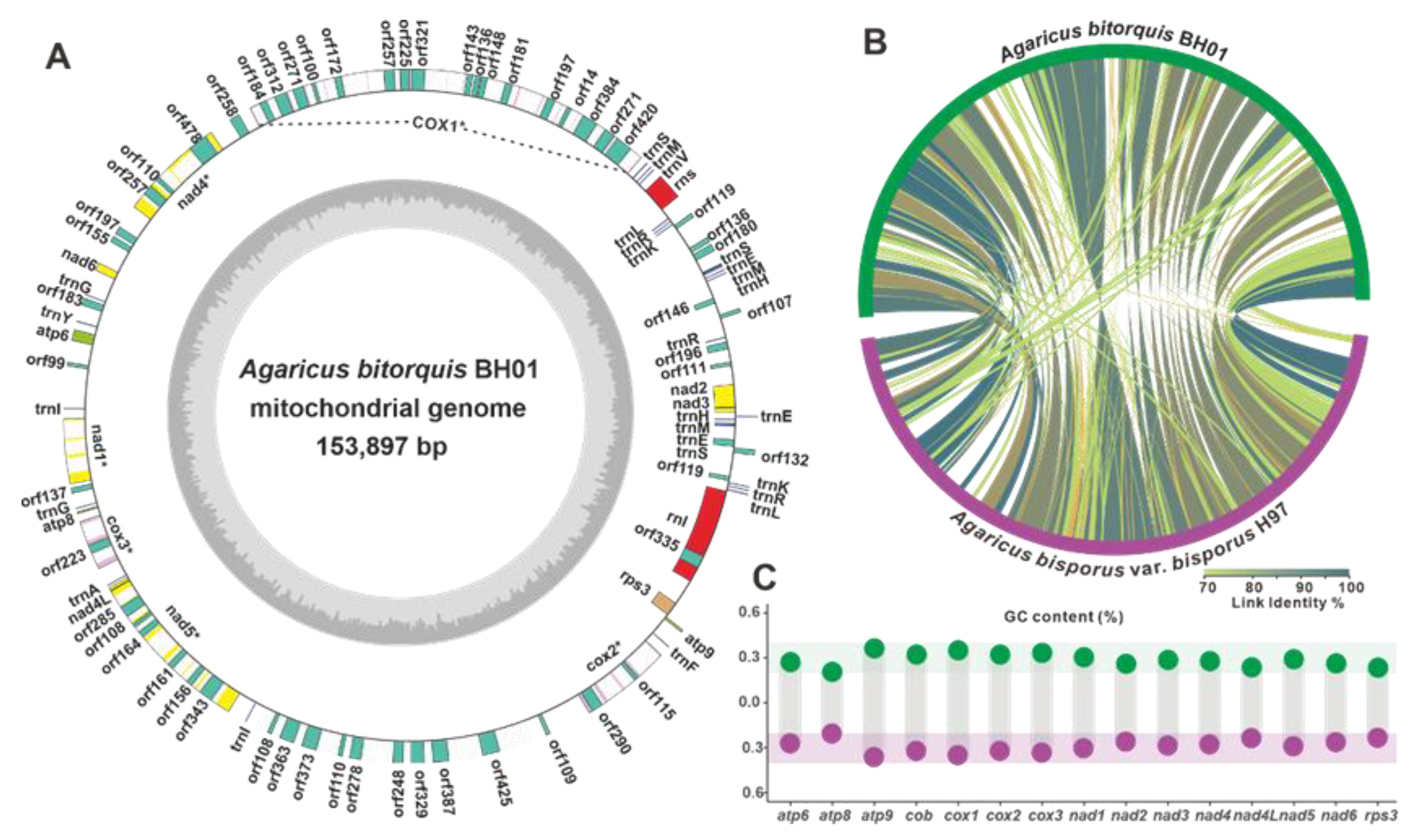Jof 09 00485 g006 Jof 09 00485 g006