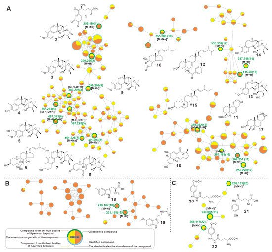 ゆみ Amazon.com: Injection Pump 8973865576 8-97386-557-6 294000