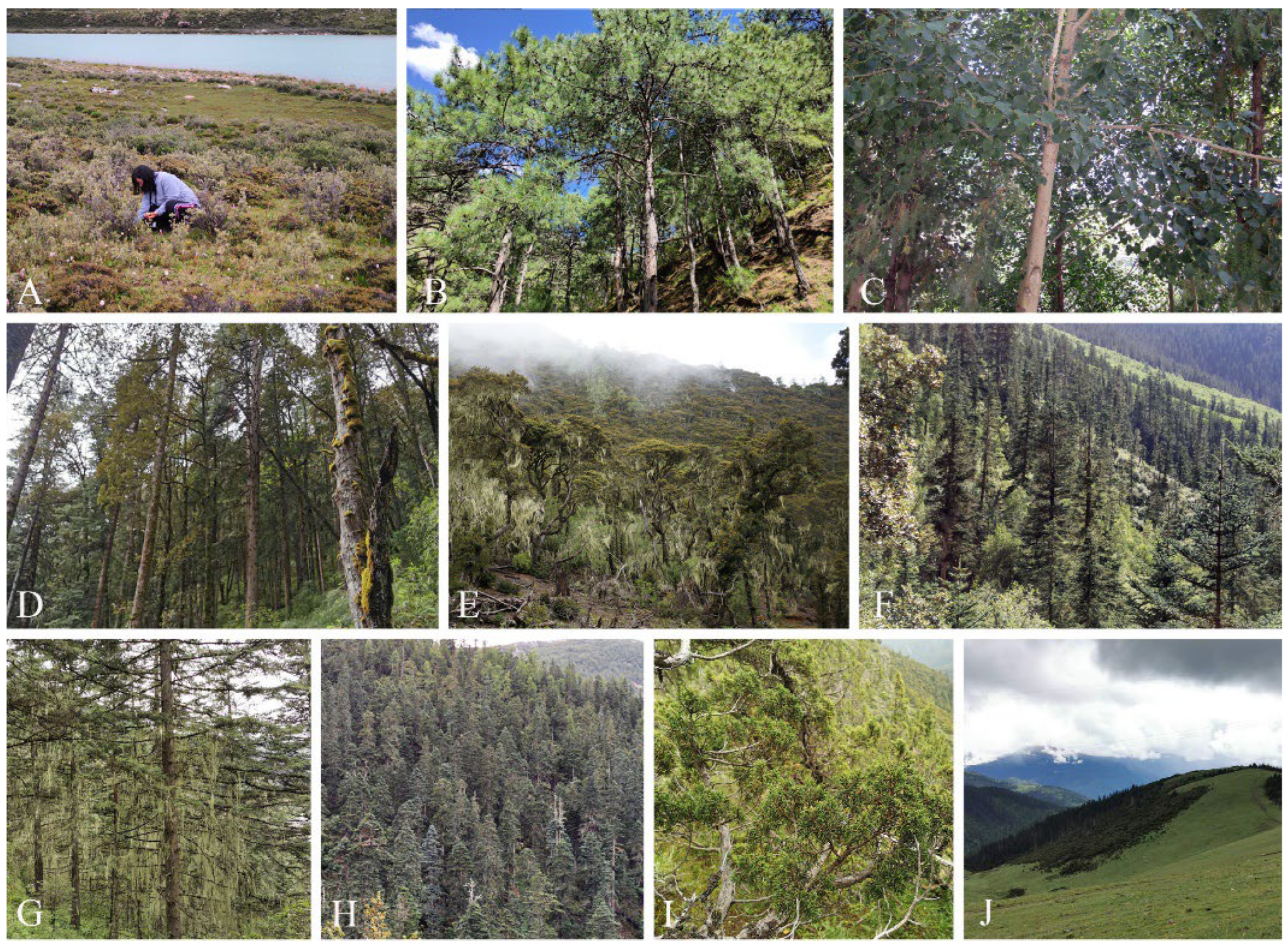 Jof 09 00491 g001 Jof 09 00491 g001