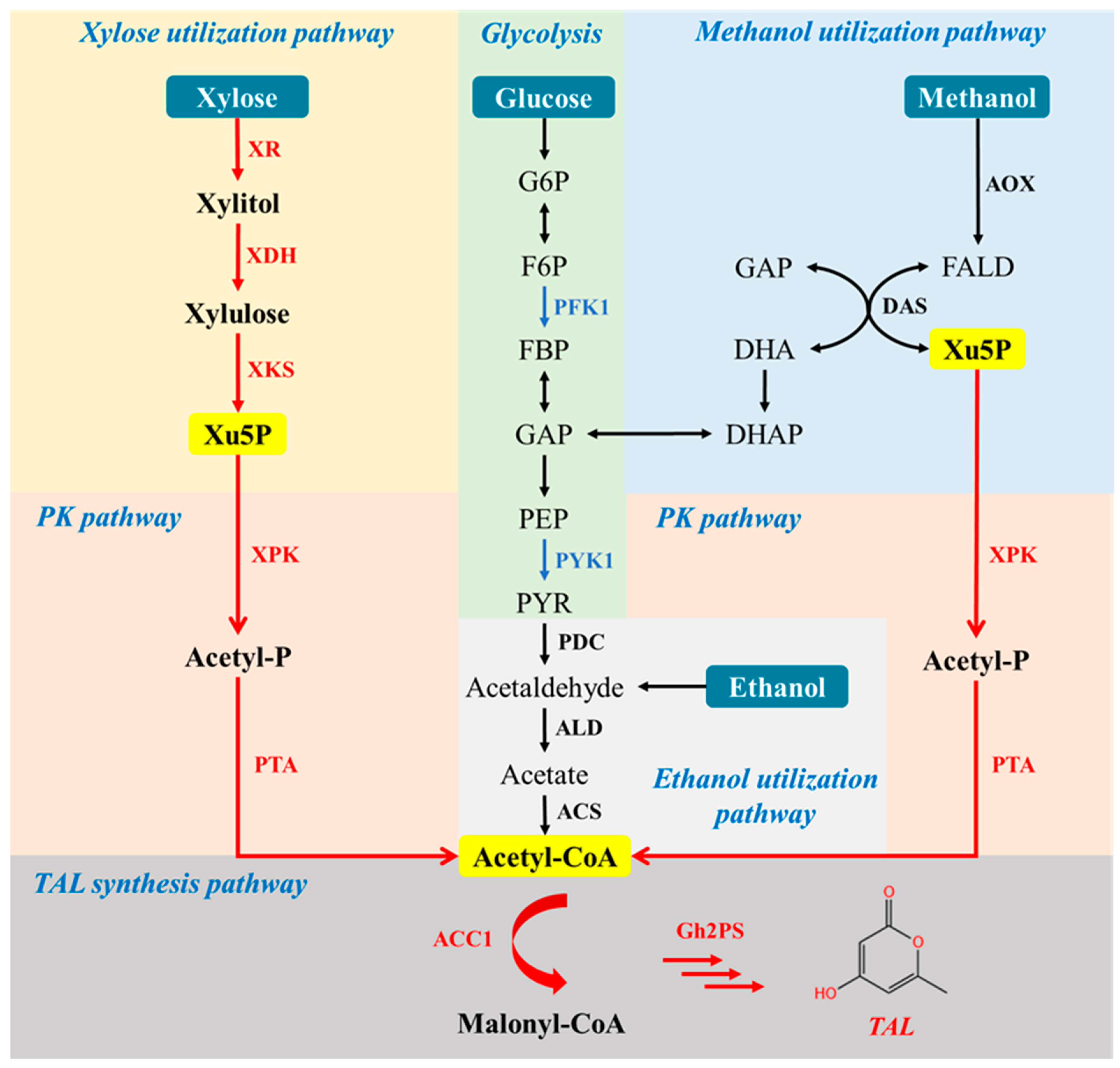 Jof 09 00494 g001 Jof 09 00494 g001