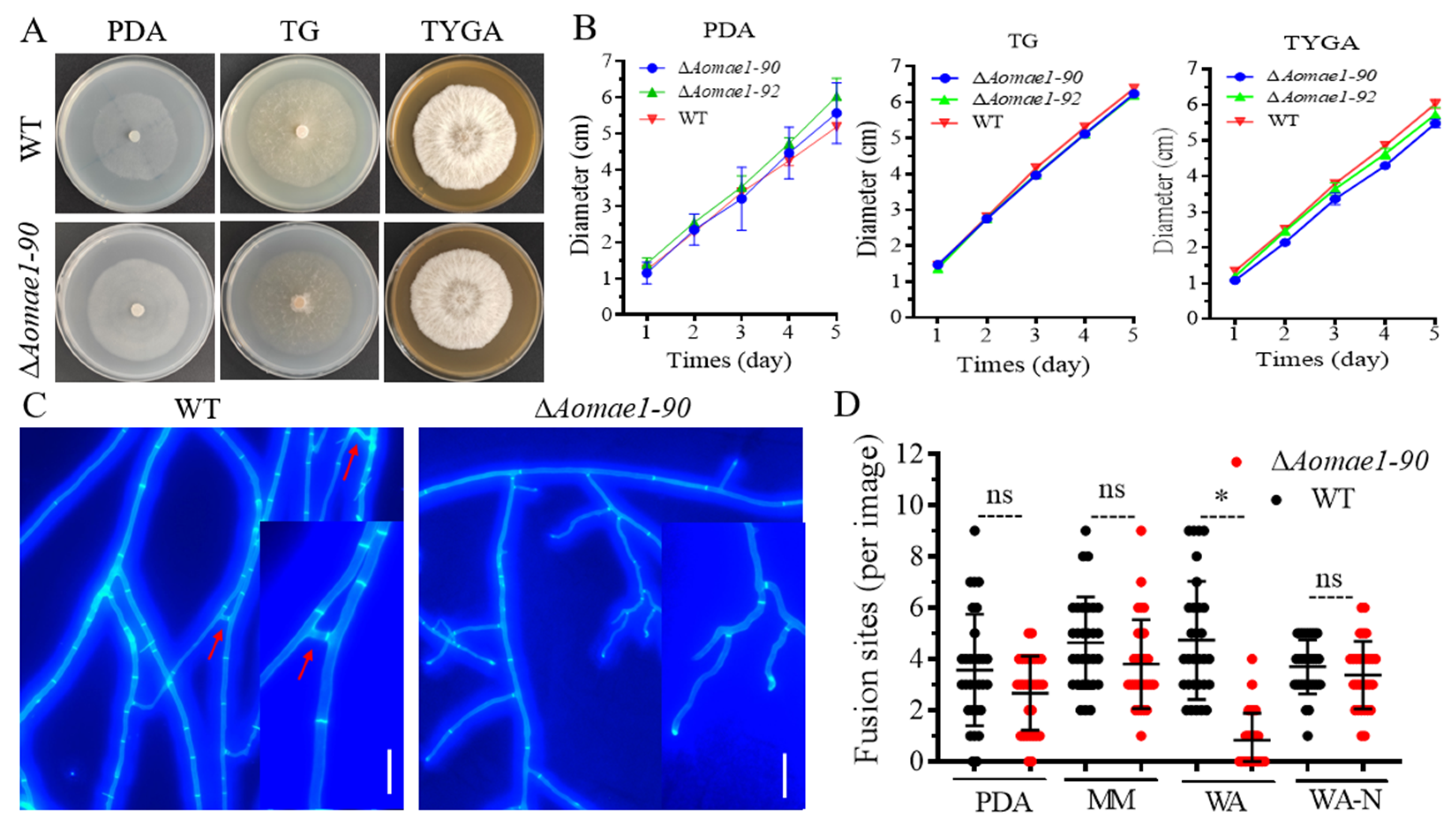 Jof 09 00496 g001 Jof 09 00496 g001