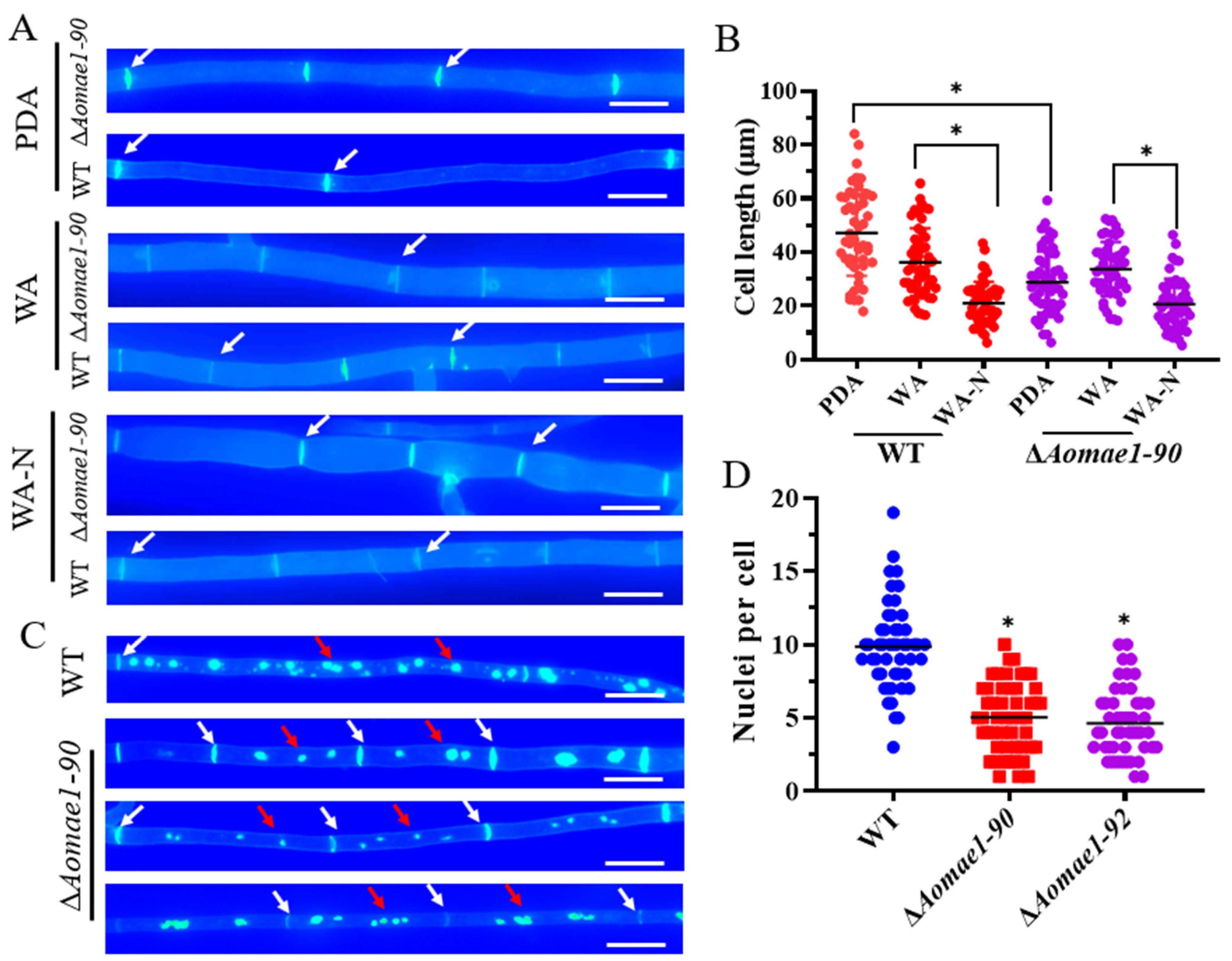 Jof 09 00496 g002 Jof 09 00496 g002