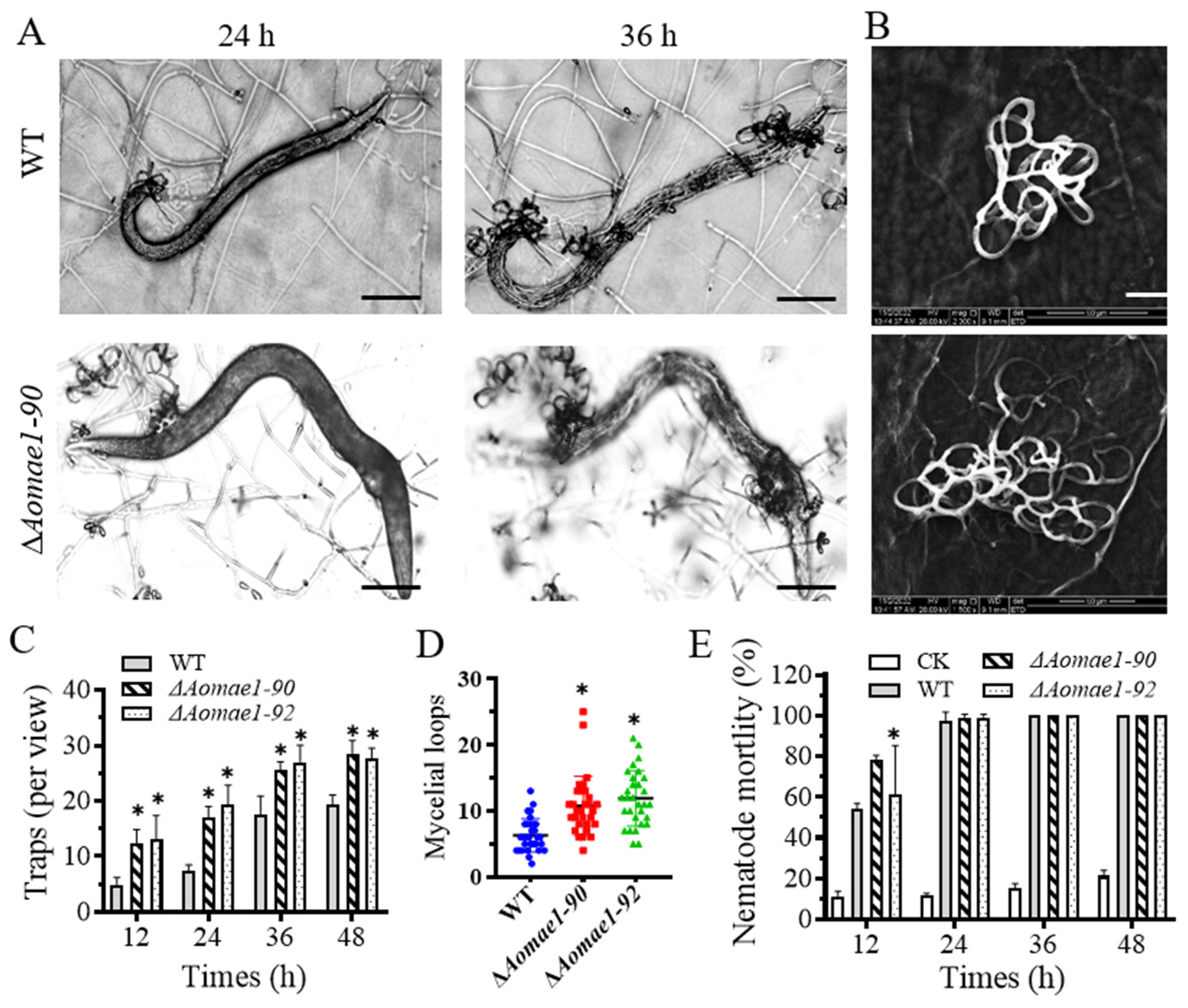 Jof 09 00496 g005 Jof 09 00496 g005