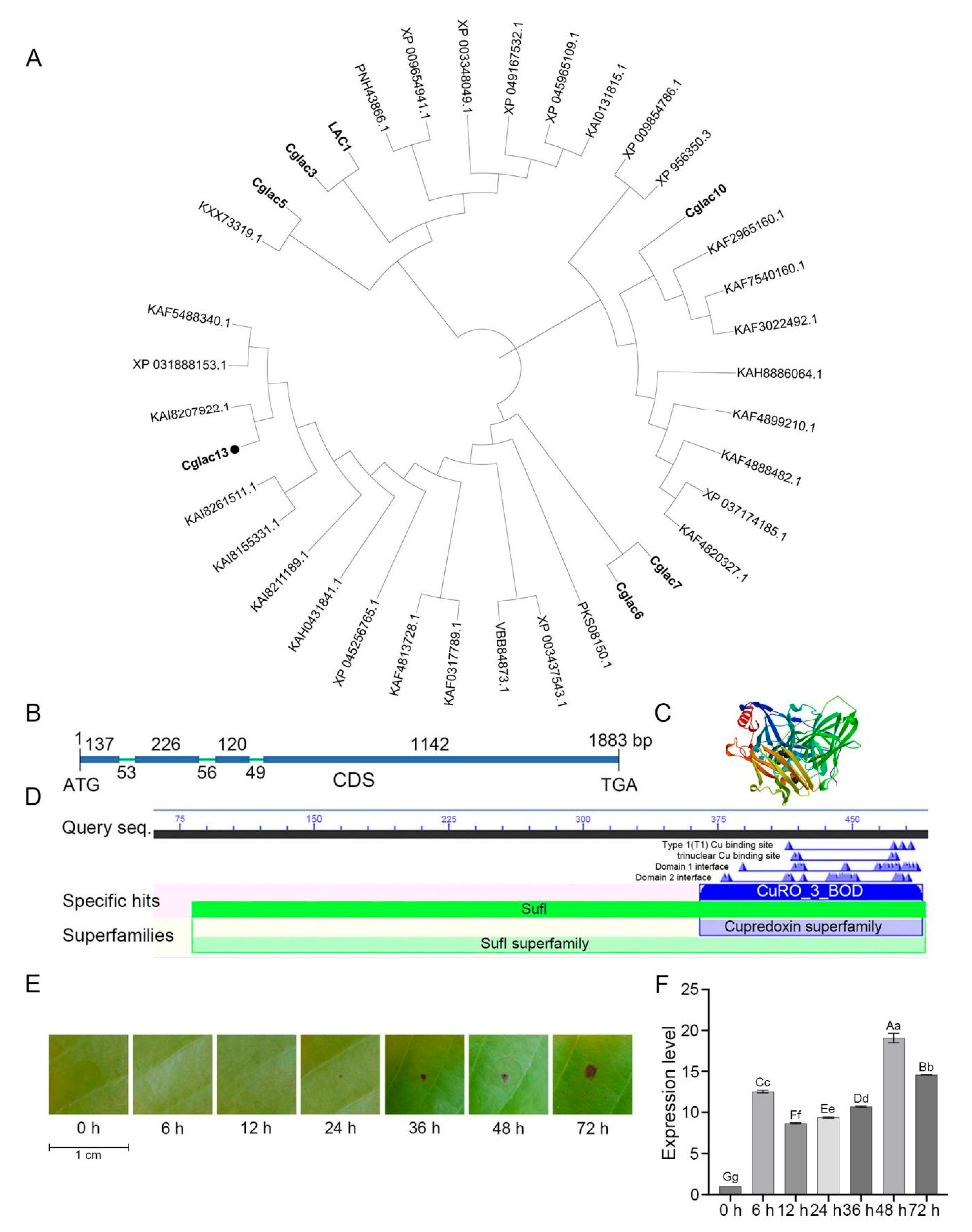 Jof 09 00503 g001 Jof 09 00503 g001
