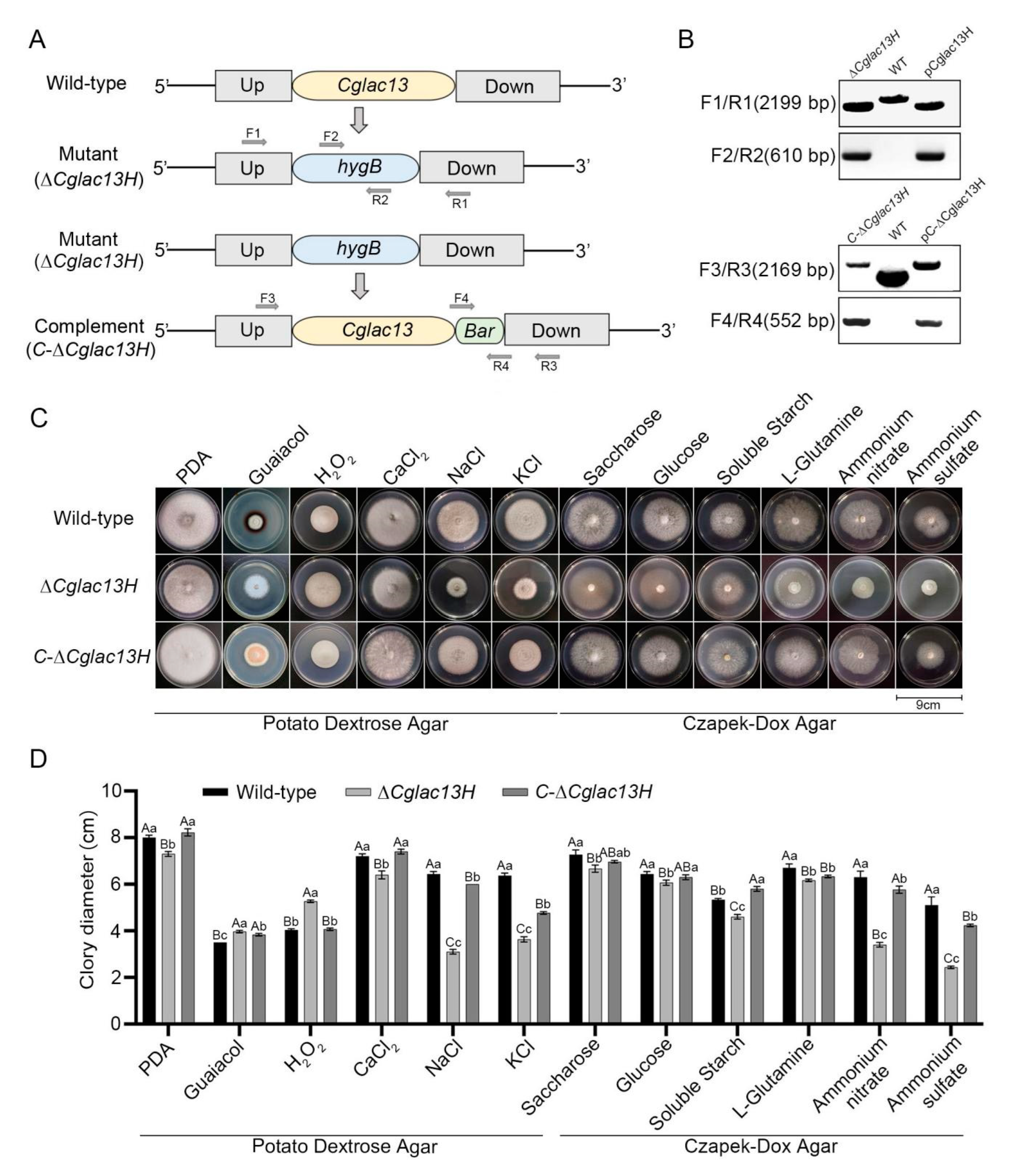 Jof 09 00503 g002 Jof 09 00503 g002