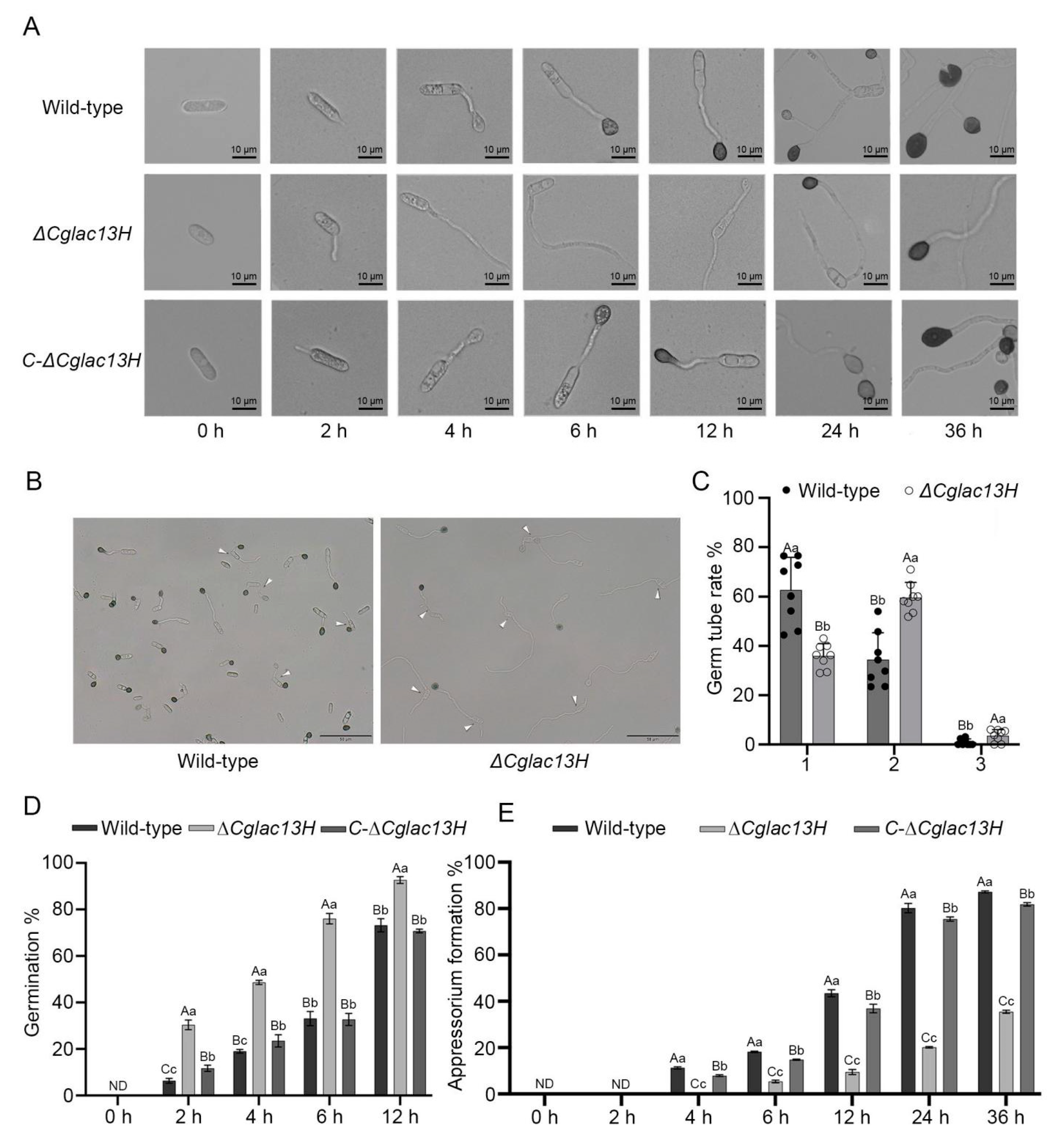 Jof 09 00503 g003 Jof 09 00503 g003