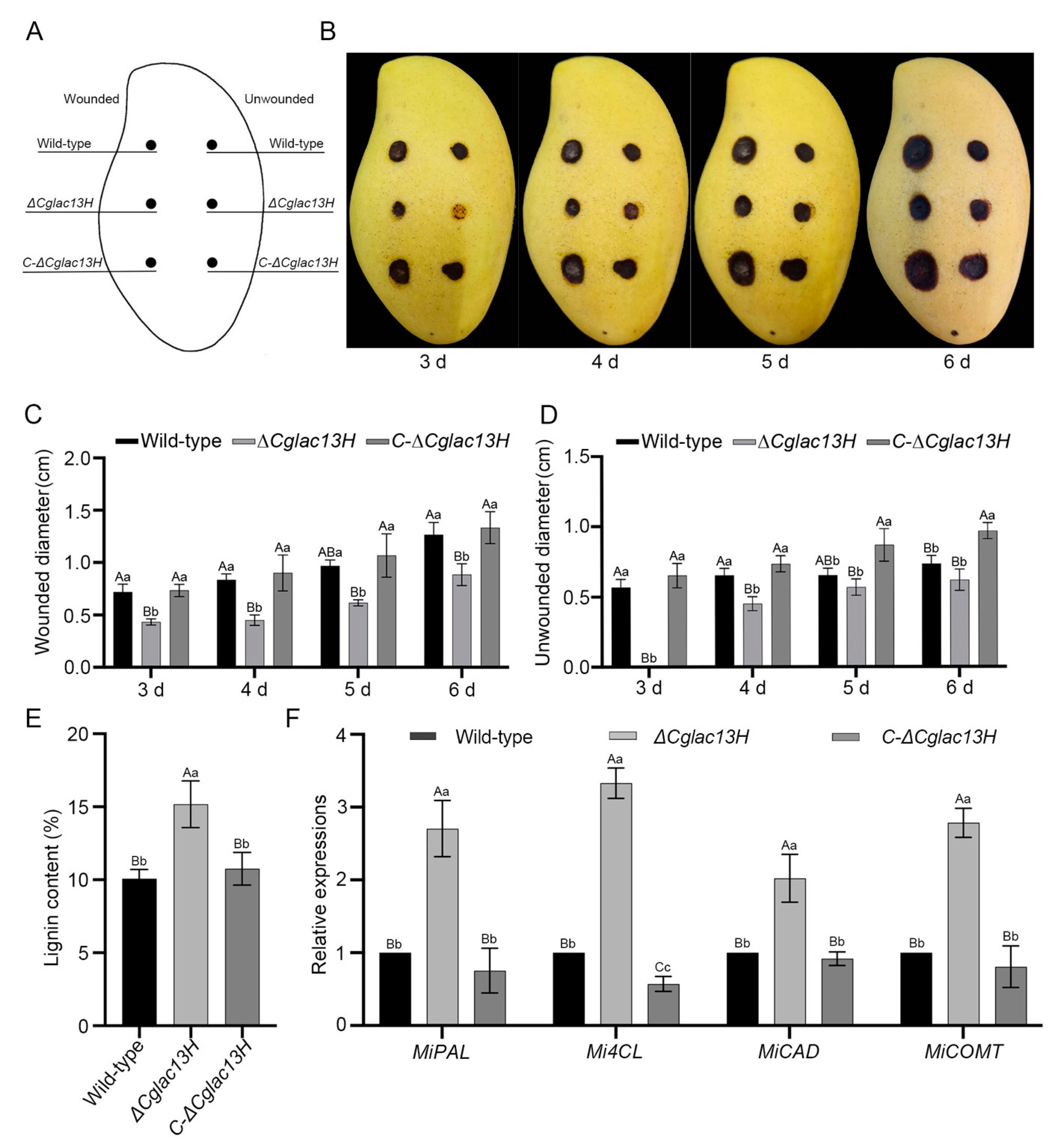 Jof 09 00503 g004 Jof 09 00503 g004
