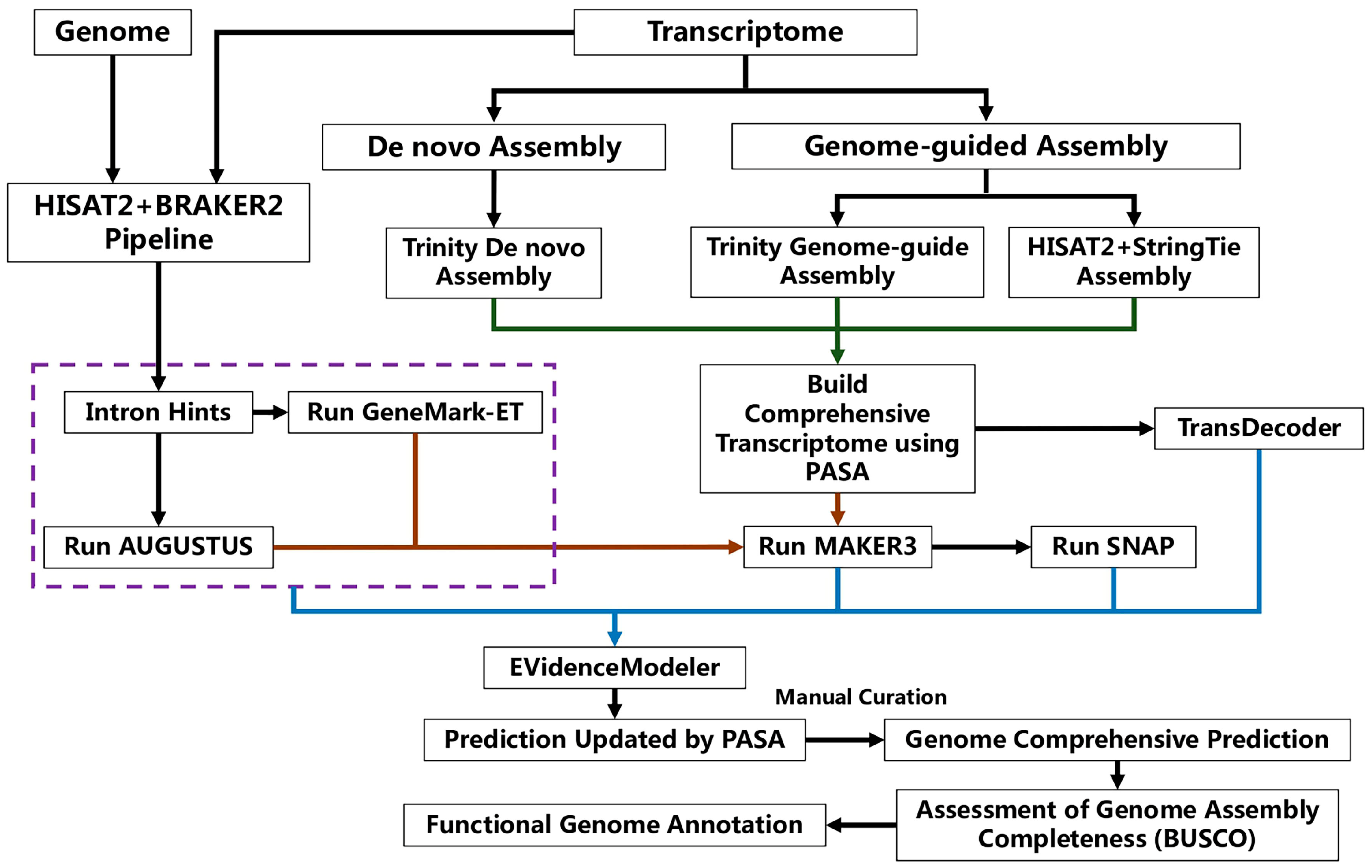 Jof 09 00505 g001 Jof 09 00505 g001