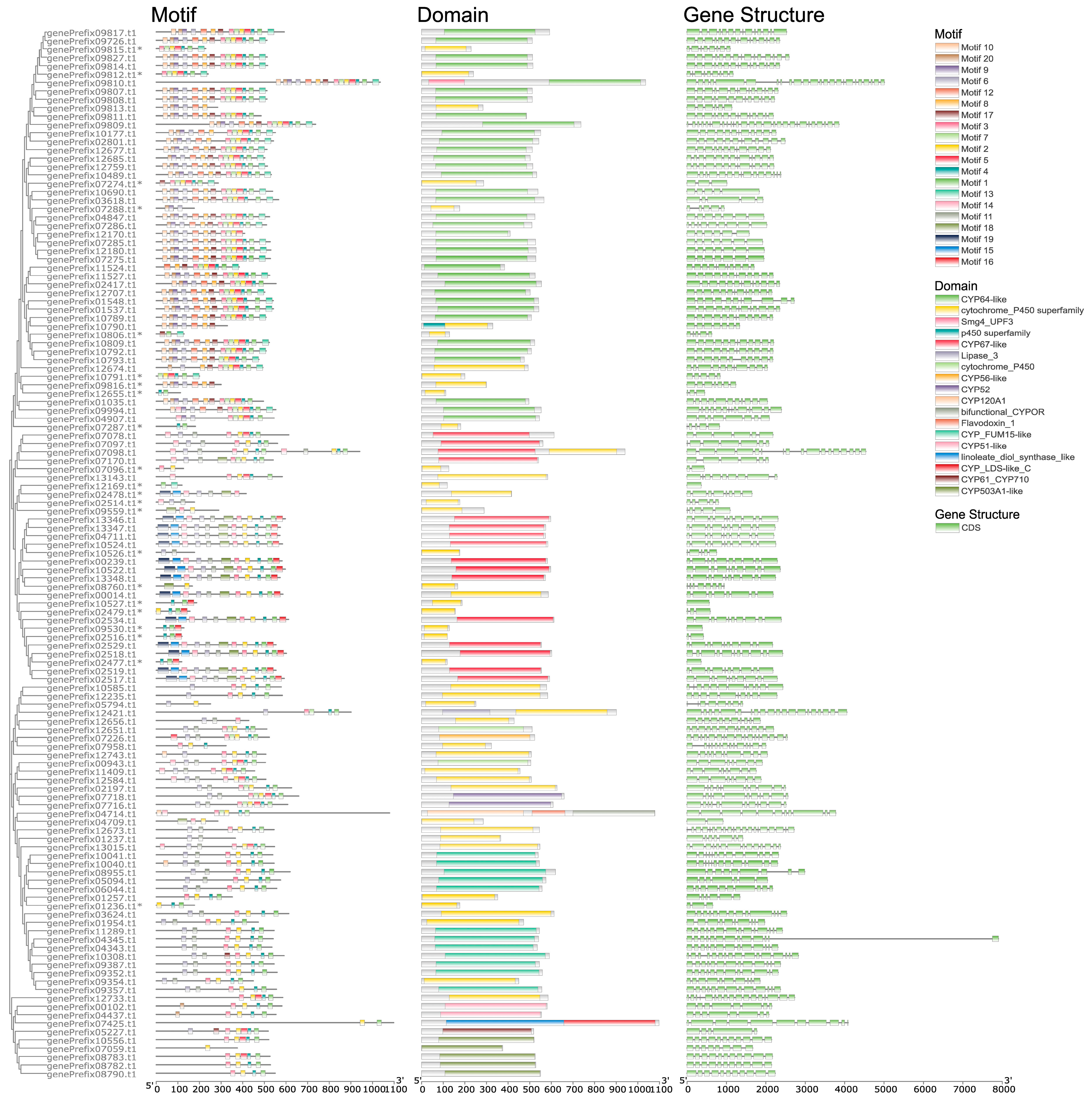 Jof 09 00505 g004 Jof 09 00505 g004