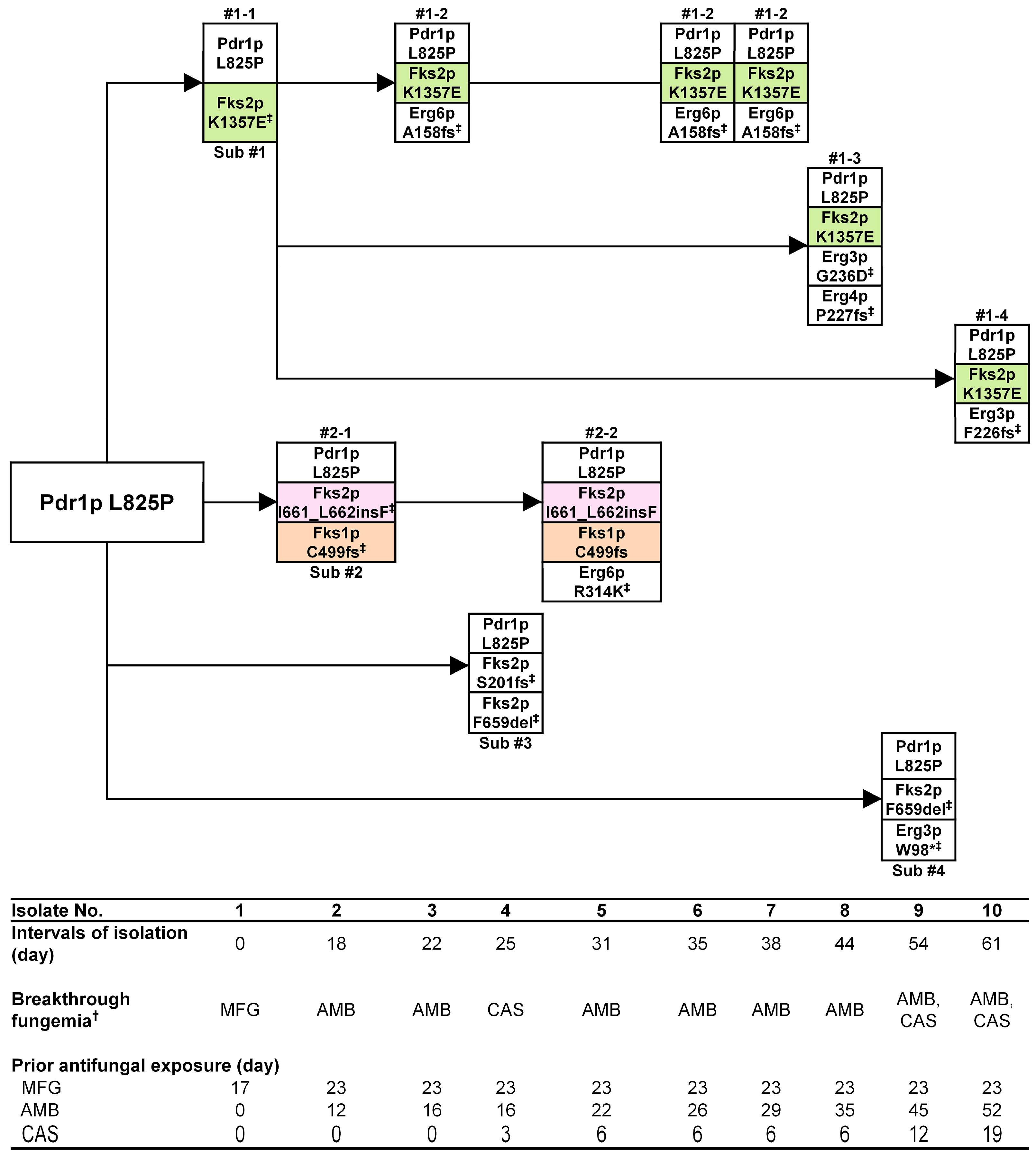 Jof 09 00515 g002 Jof 09 00515 g002