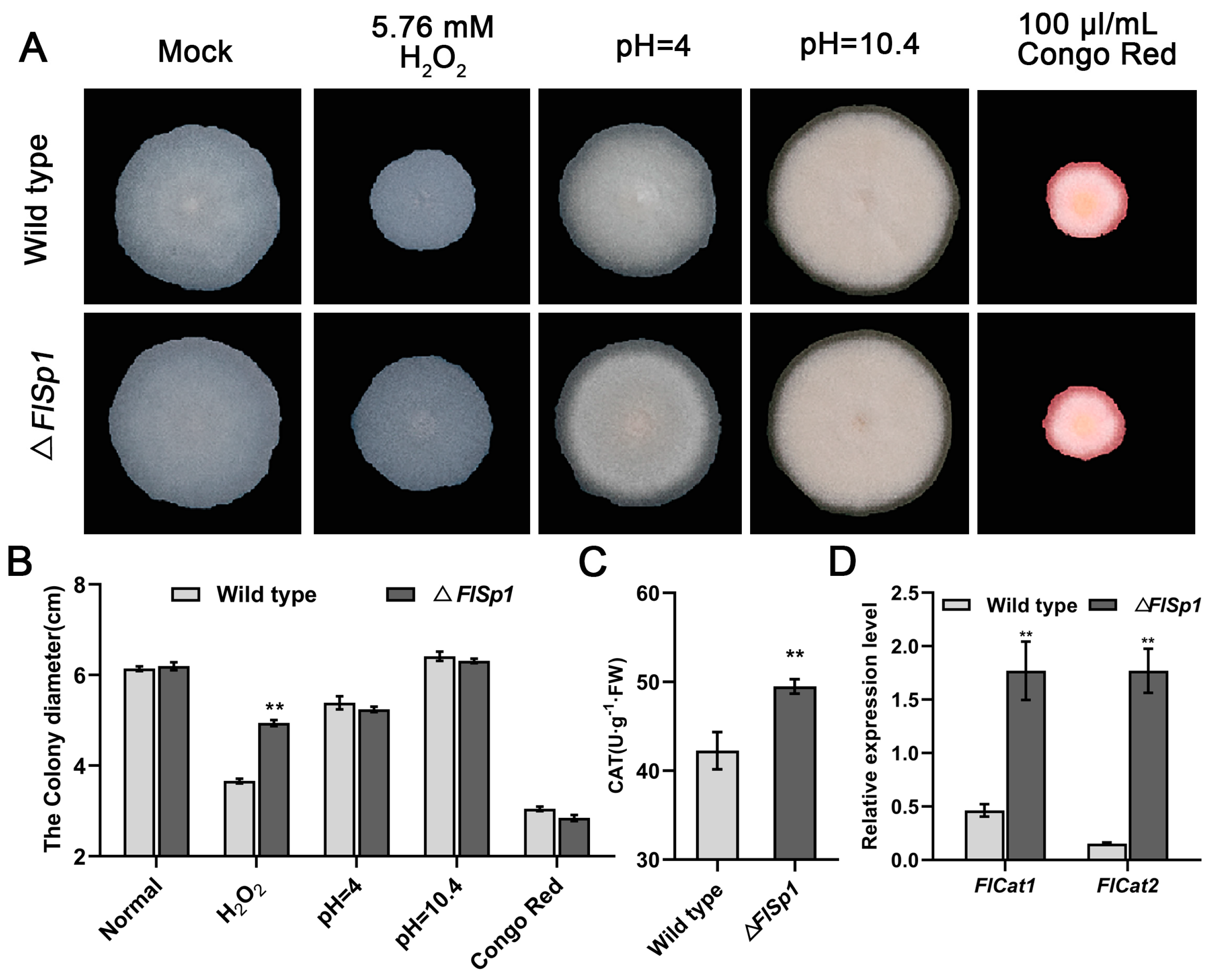 Jof 09 00519 g001 Jof 09 00519 g001